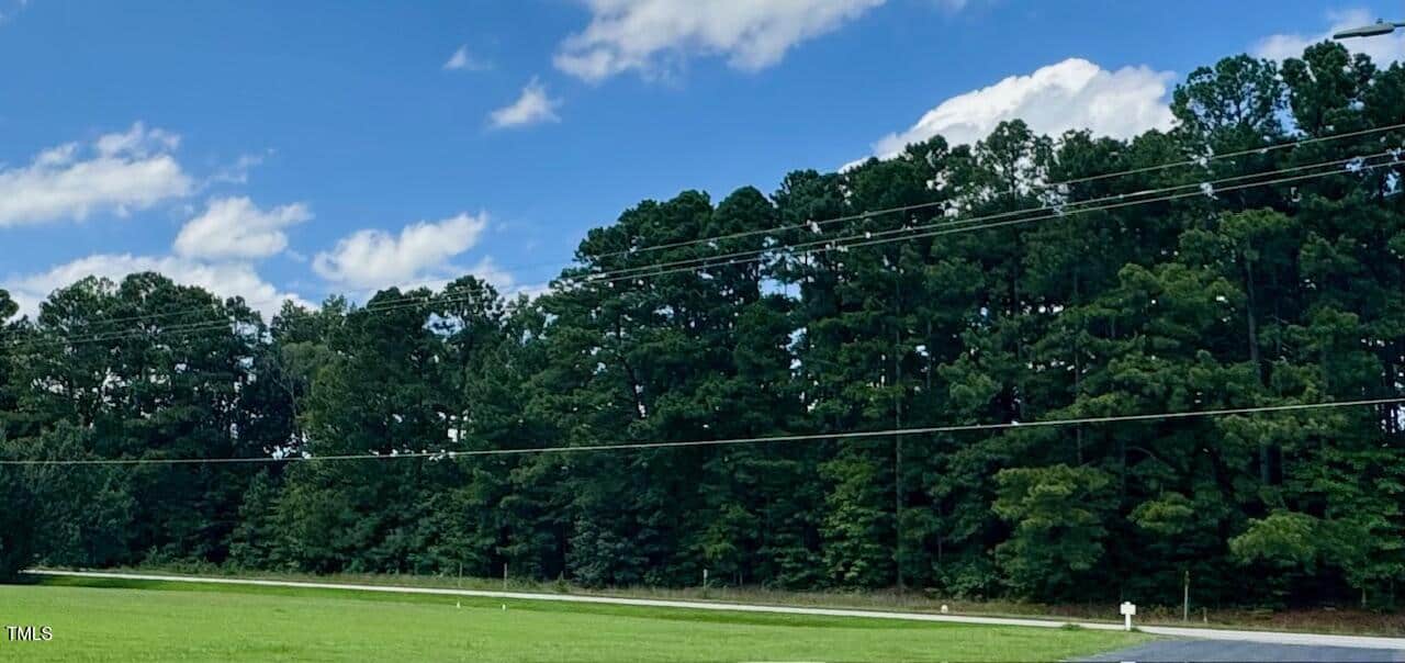 A row of tall pine trees lines the edge of a grassy area beside a road, with power lines running across the image and a blue sky with scattered clouds overhead.