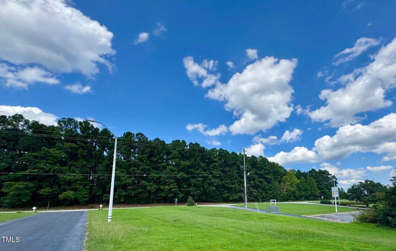 A road runs alongside a grassy area bordered by tall, dense trees under a blue sky with scattered white clouds. Power lines and a few street signs are visible near the road.
