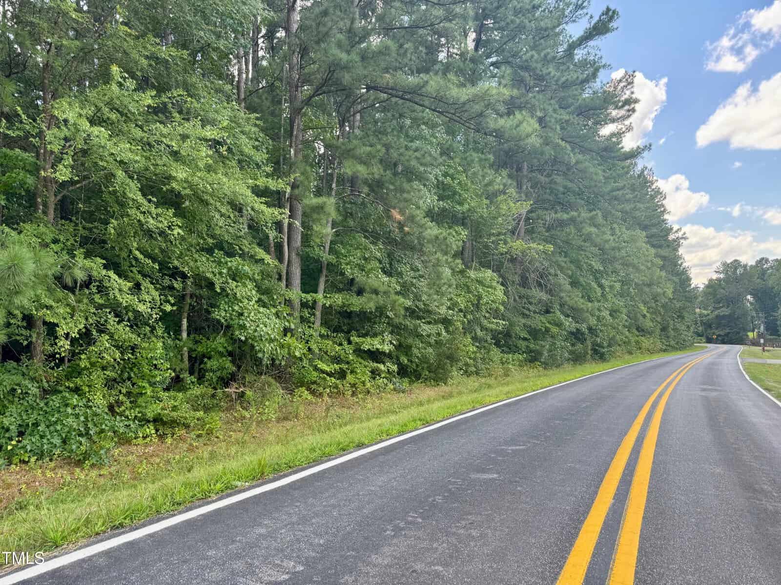 Two-lane paved road with double yellow lines curves to the right, bordered by dense green trees and undergrowth on the left, under a partly cloudy sky.