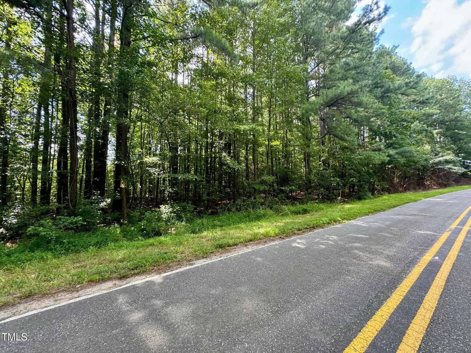 A paved road with double yellow lines runs beside a dense, green forest near Henderson under a partly cloudy sky. Sunlight filters through the trees, creating patches of light and shadow on the road, reminiscent of scenes along 01 Weldon’s Mill.