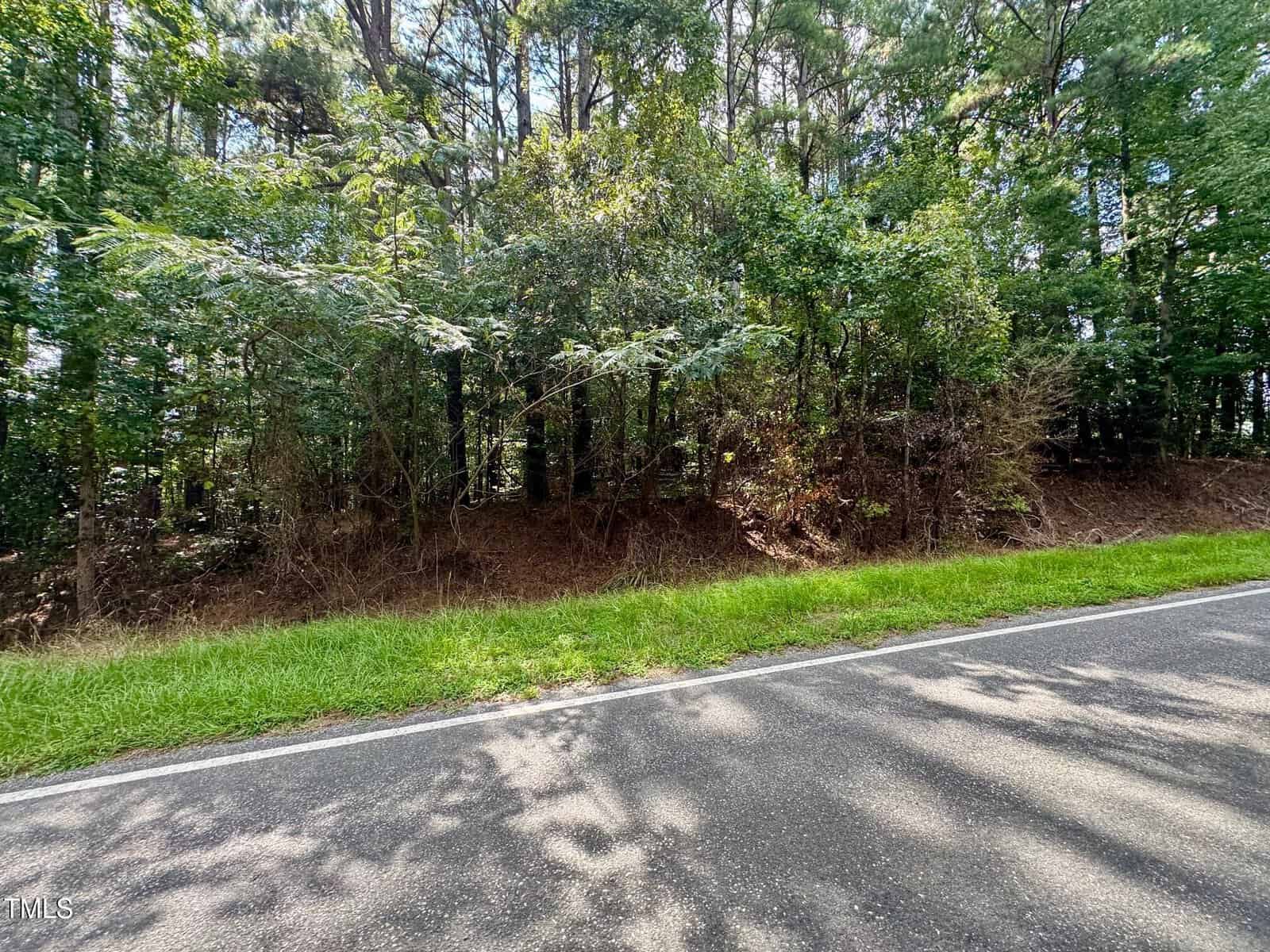 A paved road runs alongside a grassy verge and a dense wooded area with tall trees and green foliage under daylight.