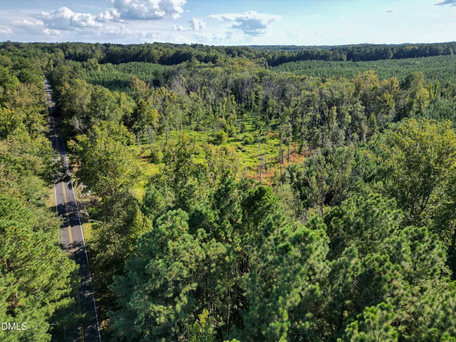 Aerial view of a rural landscape with dense green forest, a small clearing in the center, and a two-lane road running along the left side under a blue sky with scattered clouds.