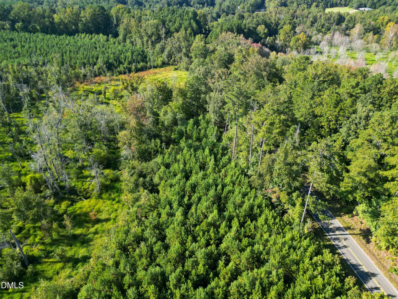 Aerial view of a rural area with dense green trees, a narrow paved road on the right, and a mix of forest and open grassy land. Some trees appear sparse or dead near the left side of the image.