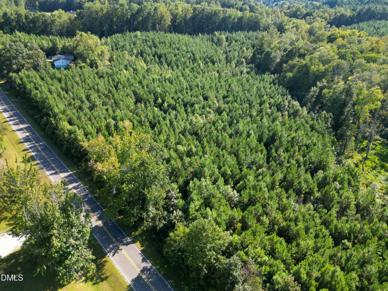 A paved road runs alongside a large, densely wooded area with evergreen trees. A small white building is visible near the top left corner, partially surrounded by trees. The scene is lush and green.