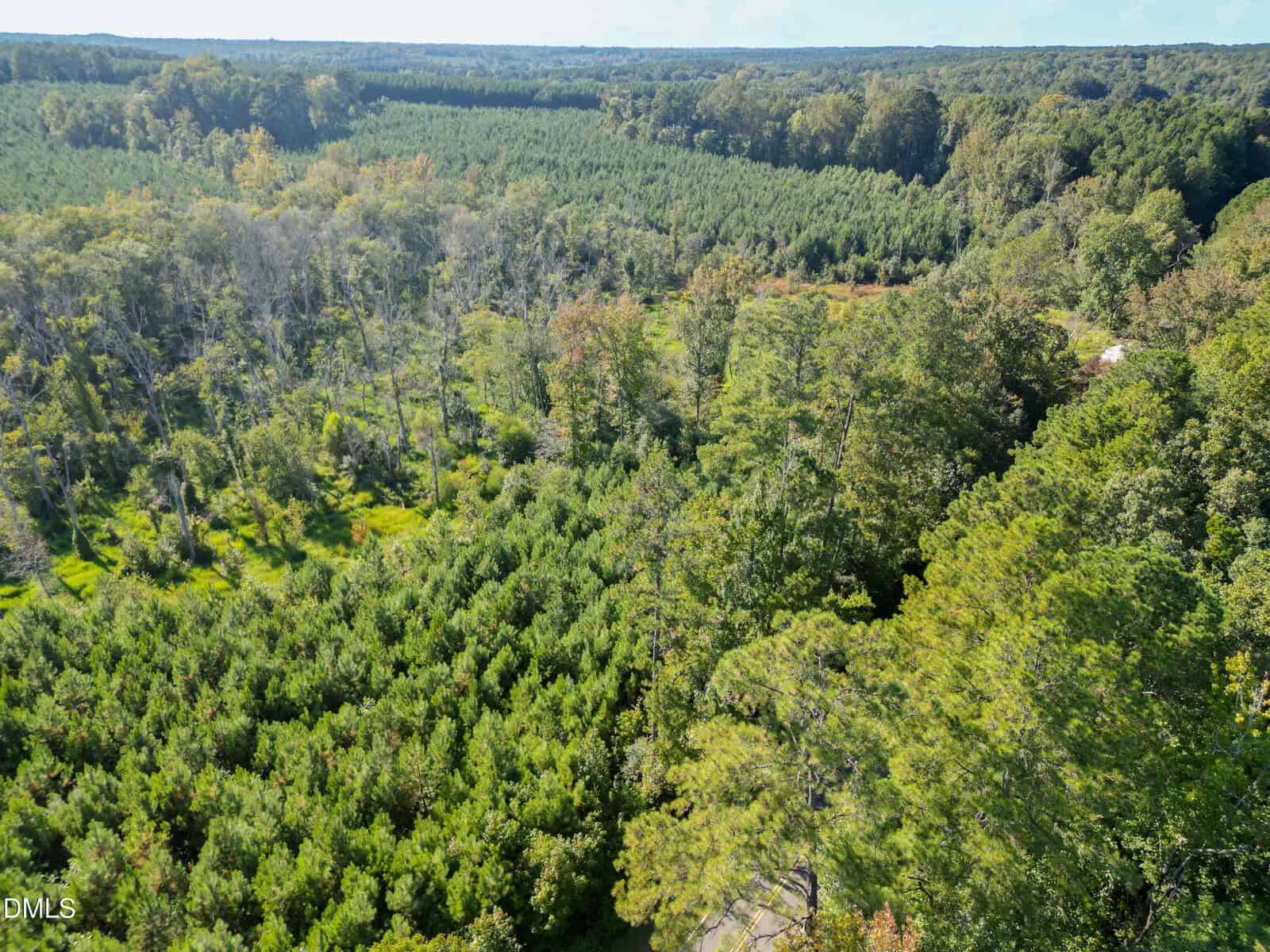Aerial view of a dense, green forest with various types of trees and vegetation. The landscape stretches to the horizon under a partly cloudy sky.