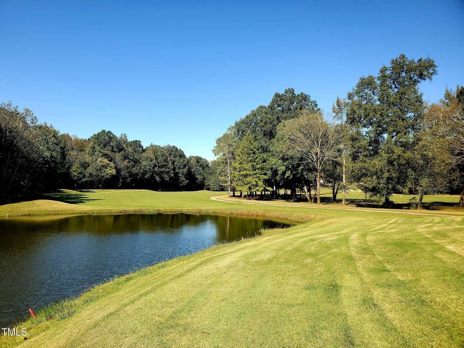 A grassy landscape with a small pond in the foreground, a curving path, and clusters of tall trees under a clear blue sky on a sunny day.