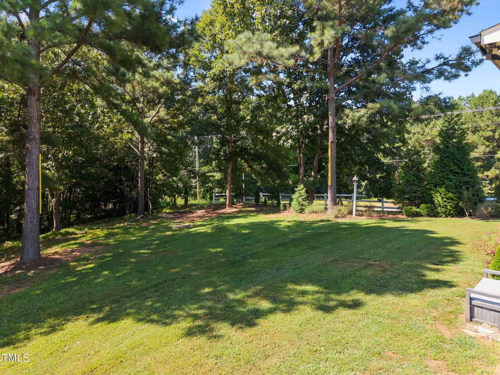 A grassy backyard with tall trees providing shade, bordered by a mix of smaller trees and shrubs. A few lamp posts and a fence are visible in the background. The lawn is sunlit with some areas of shadow.