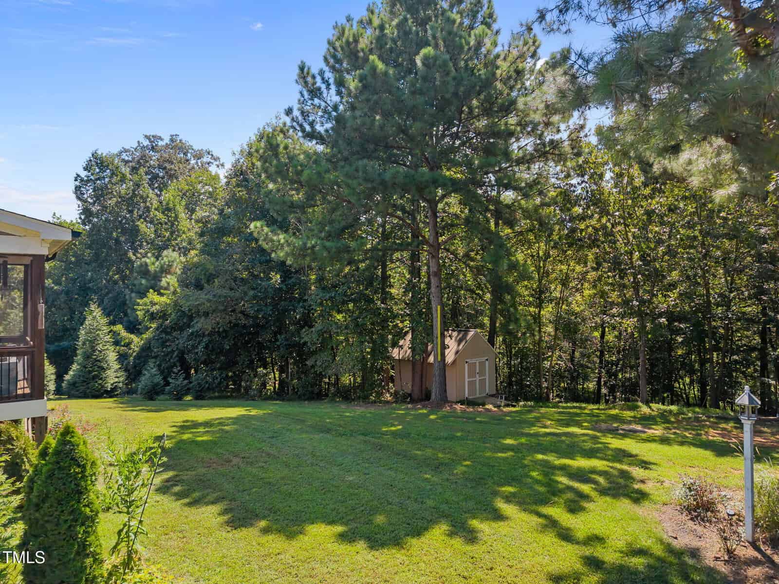 A grassy backyard with a small brown shed beneath tall pine trees, bordered by a wooded area. Part of a screened porch is visible on the left. The sky is clear and blue.