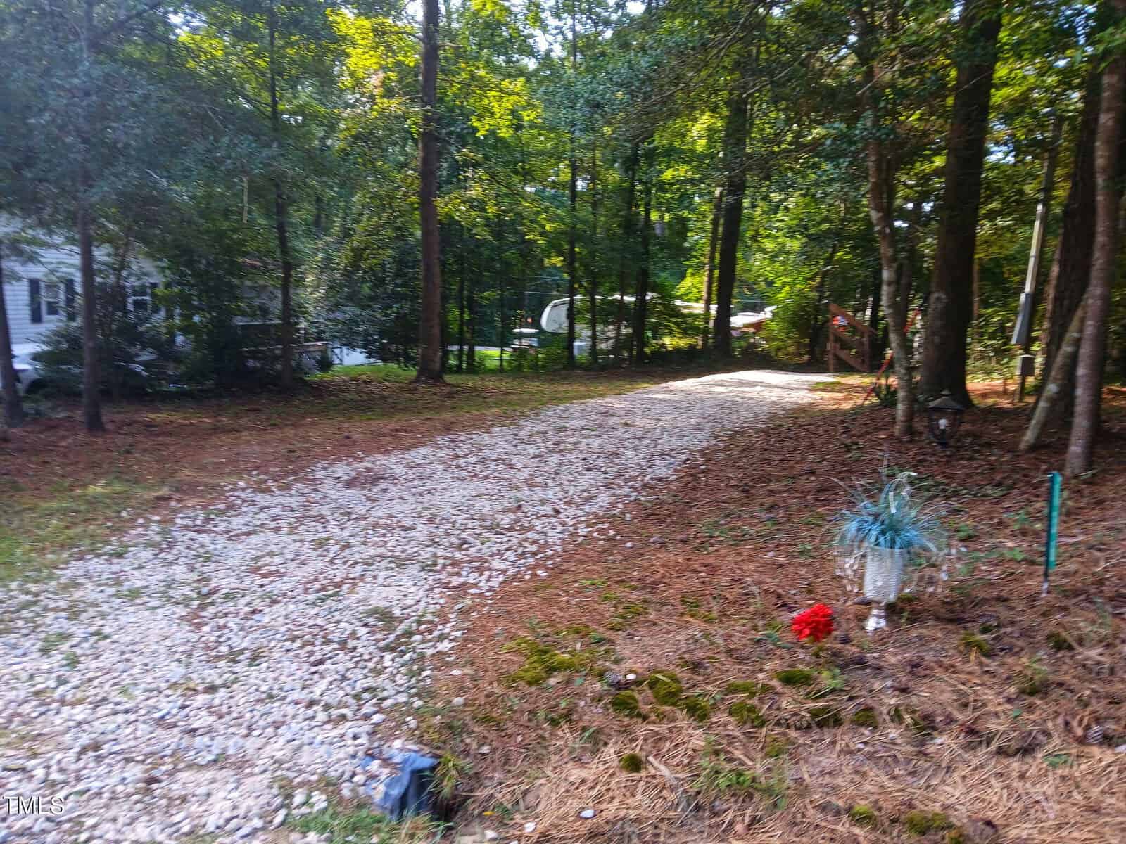A gravel driveway curves through a wooded area with tall trees. To the right, there is a small patch of moss, pine needles, a potted plant, and a red flower. A white house is partially visible on the left.