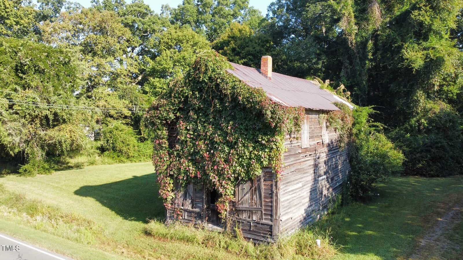 An old, weathered wooden building with a metal roof stands by a road, heavily covered in vines and surrounded by grass and trees on a sunny day.