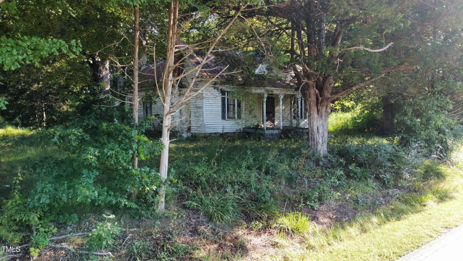 An old, weathered white house with a covered porch sits partially hidden behind overgrown trees and bushes near a grassy roadside under the shade of large trees.