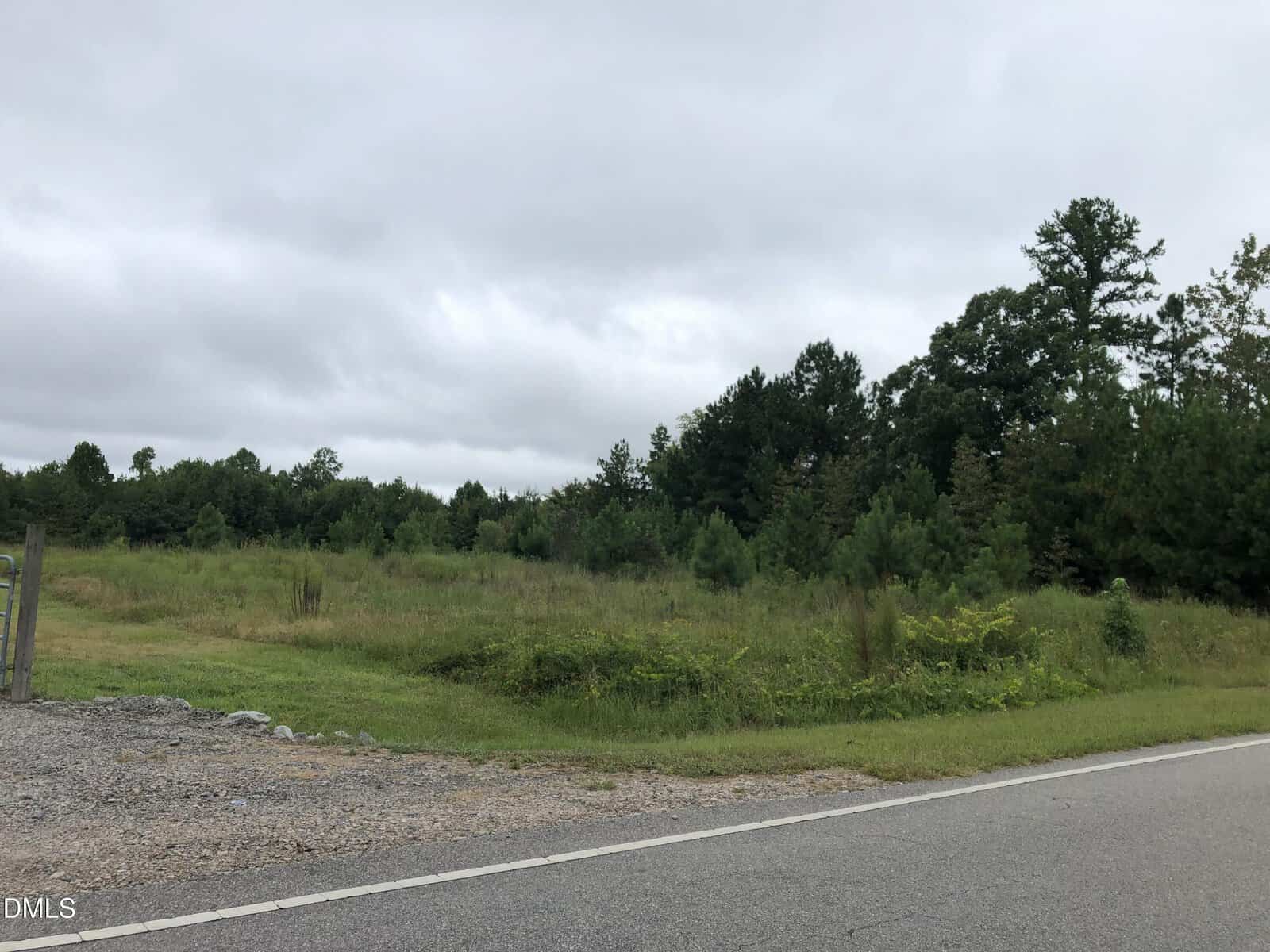 A grassy, vacant lot with small shrubs and trees, bordered by a paved road in the foreground. Dense woods are in the background under a cloudy, overcast sky.