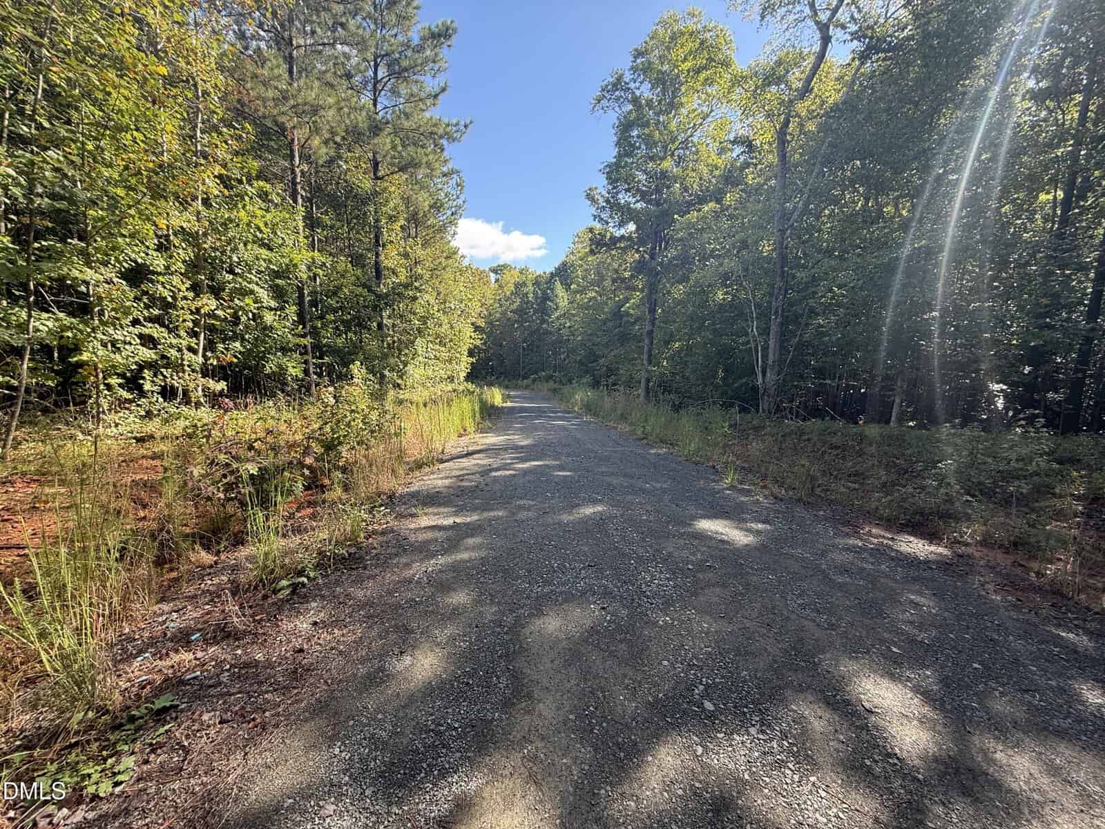 A gravel road runs through a forested area with tall trees and green foliage on both sides. Sunlight filters through the trees, casting shadows on the ground under a clear blue sky.