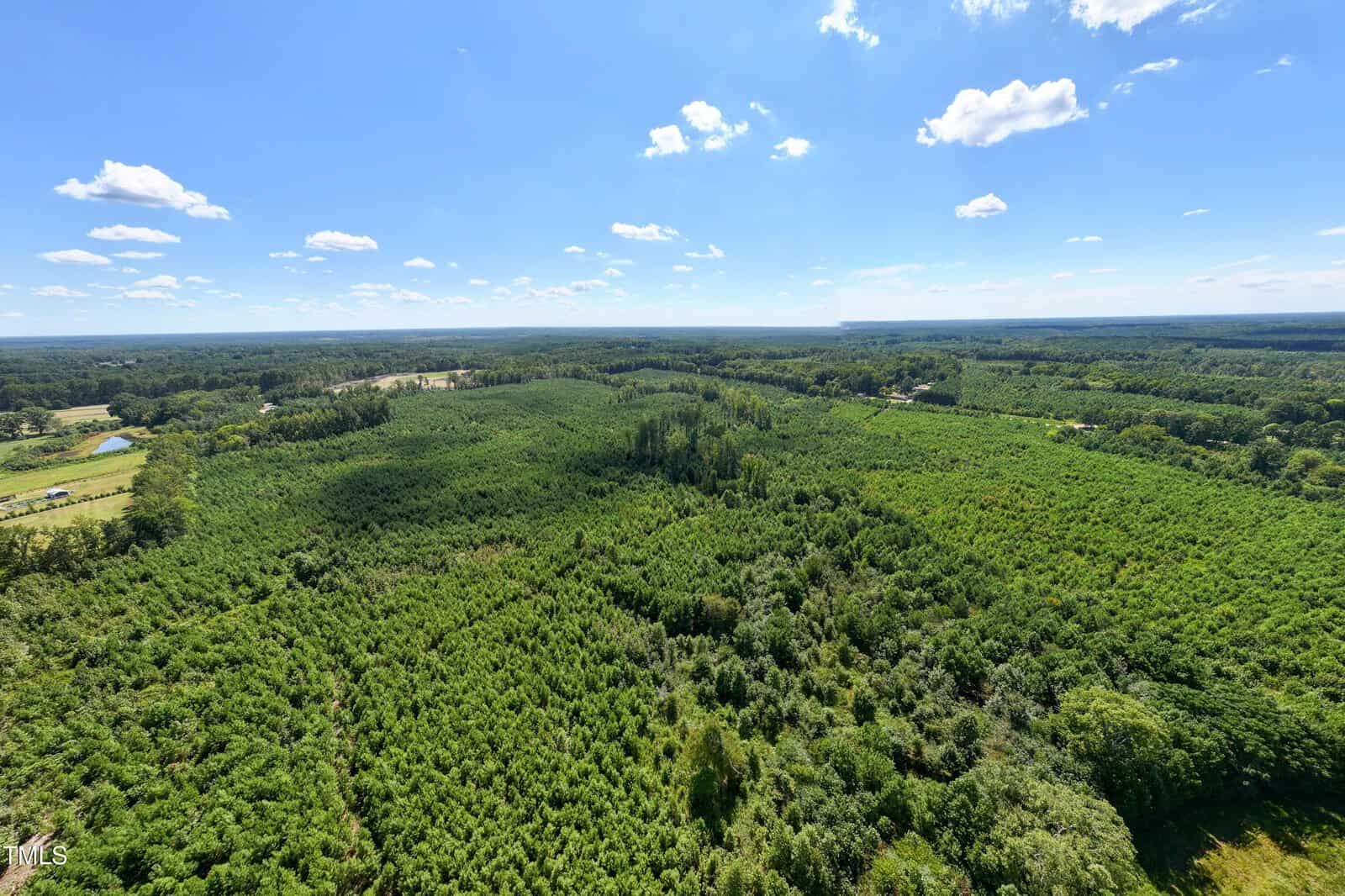 Aerial view of a vast green forest under a clear blue sky with scattered white clouds. The dense tree canopy stretches into the distance, with only a few small clearings and distant structures visible.
