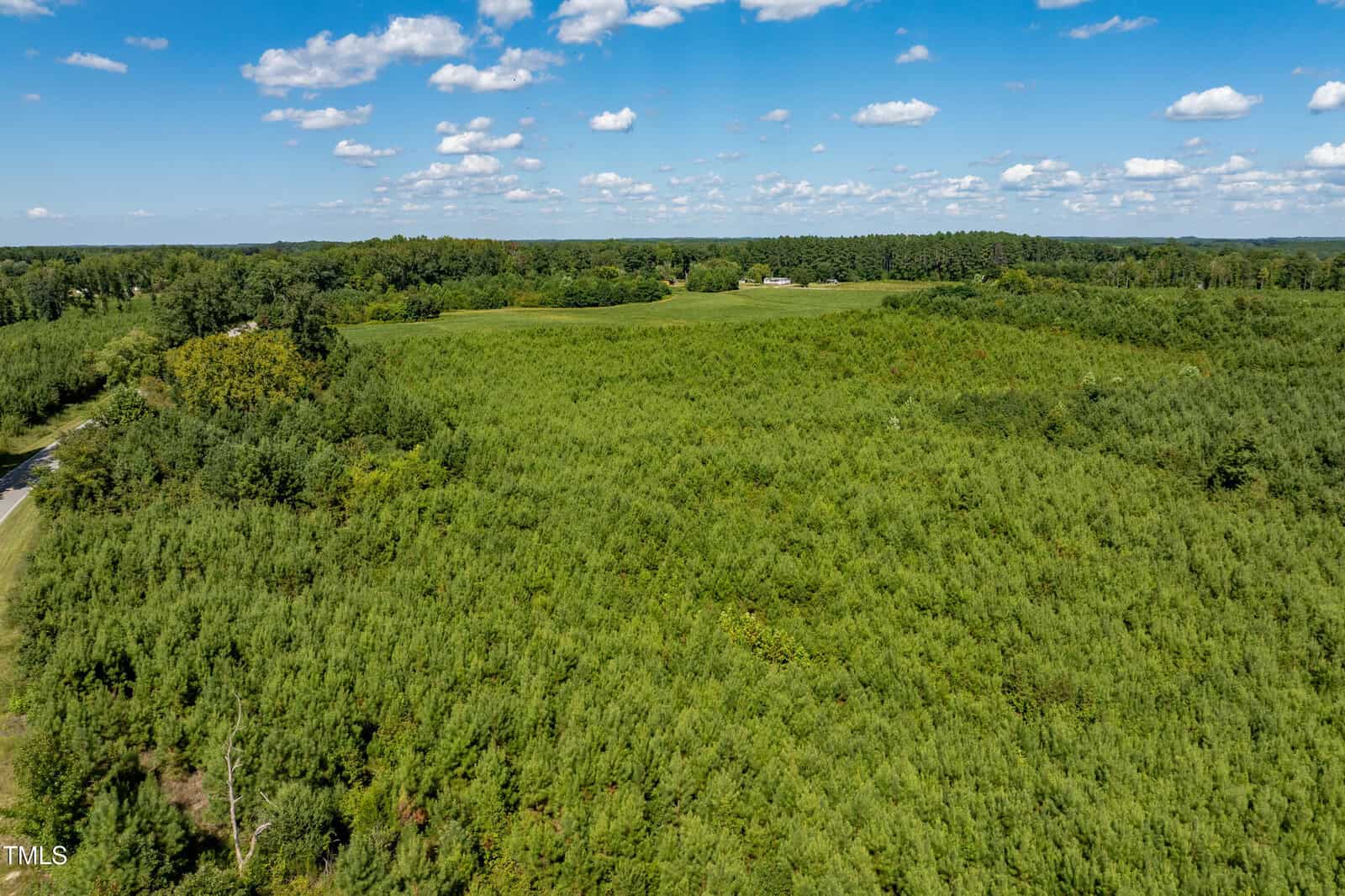Aerial view of a large, green, tree-covered landscape under a blue sky with scattered clouds. A small building is visible in the distance, surrounded by forest and open fields. A road runs along the edge of the wooded area.
