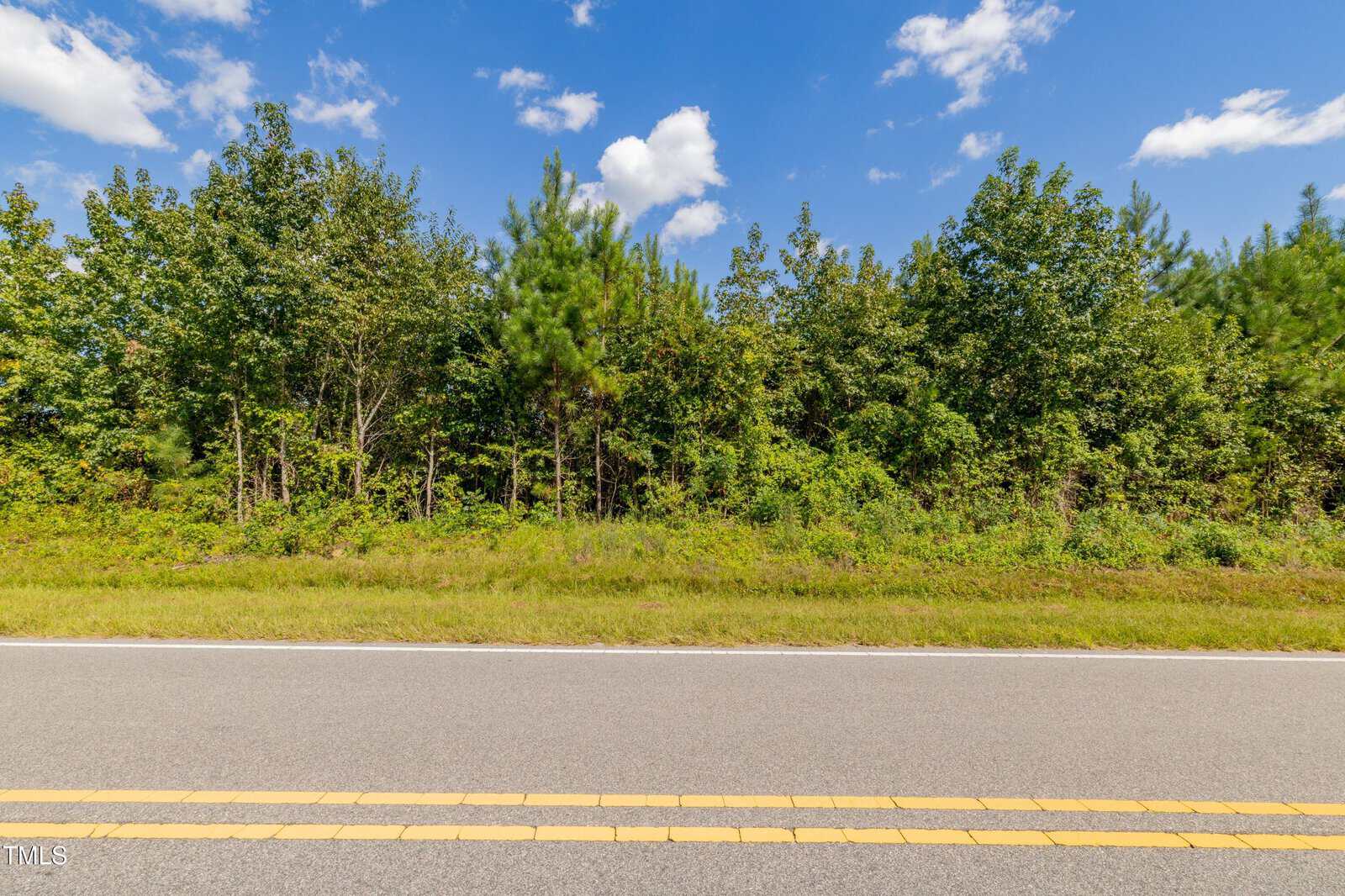 A paved road with double yellow lines runs in front of dense green trees and shrubs under a partly cloudy blue sky.