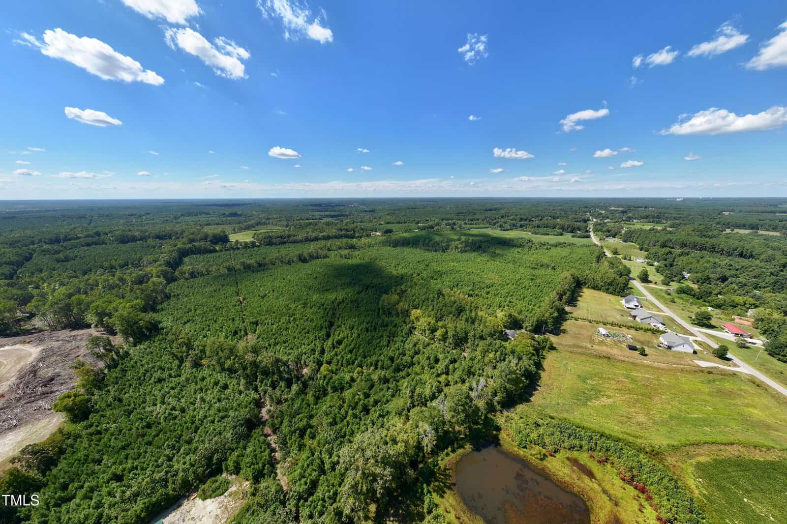 Aerial view of a rural landscape with dense green forest, a small pond, scattered houses, open fields, and a road running through the right side of the image under a blue sky with scattered clouds.