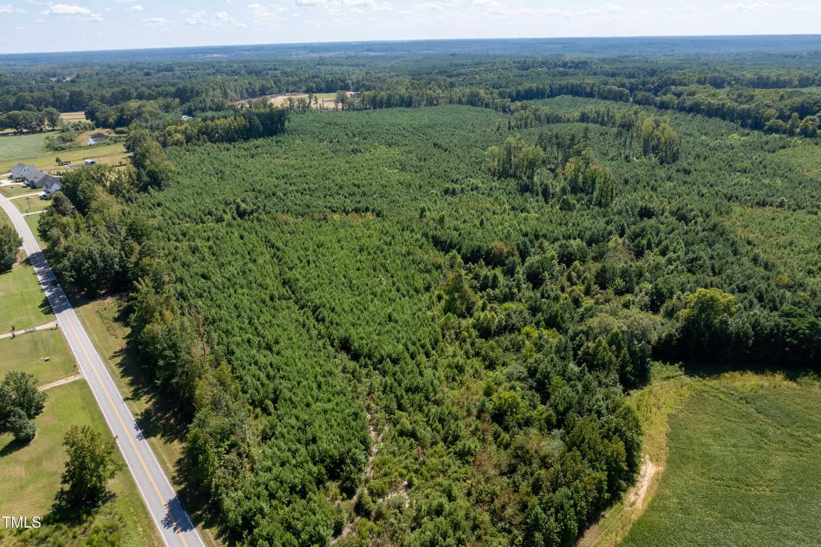 Aerial view of a large, densely wooded area with young trees, bordered by a road on the left and open fields in the foreground, on a clear day with blue sky and scattered clouds.