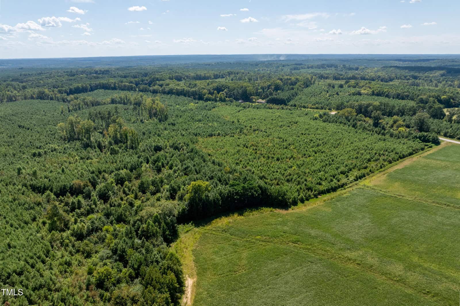 Aerial view of a large, densely forested area with a section of open, green field in the foreground, under a partly cloudy sky. Trees extend toward the horizon, with a few dirt paths visible.