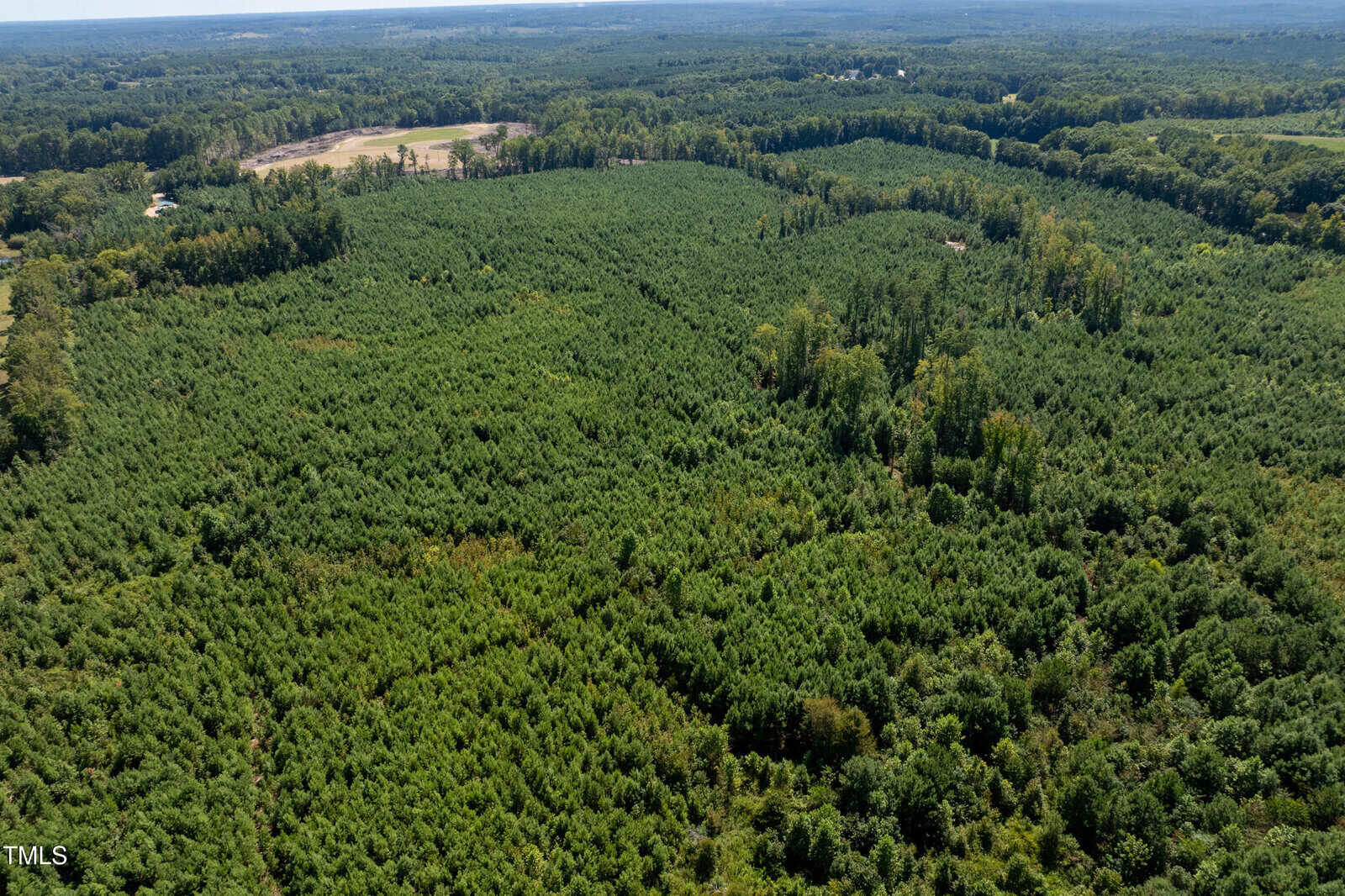 Aerial view of a large expanse of dense green forest with a few grassy clearings. The landscape is mostly flat, extending into the distance under a clear sky. No buildings or people are visible.