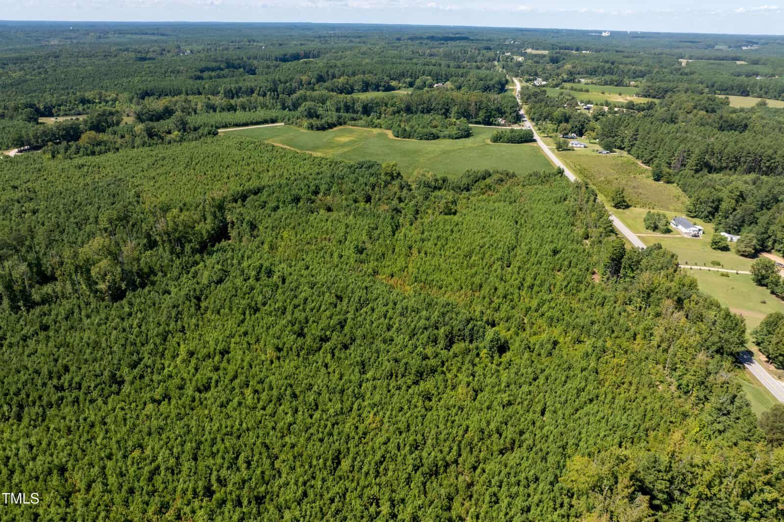 Aerial view of a large, densely forested area with a road running alongside it. Open fields and scattered houses are visible in the background under a blue sky.