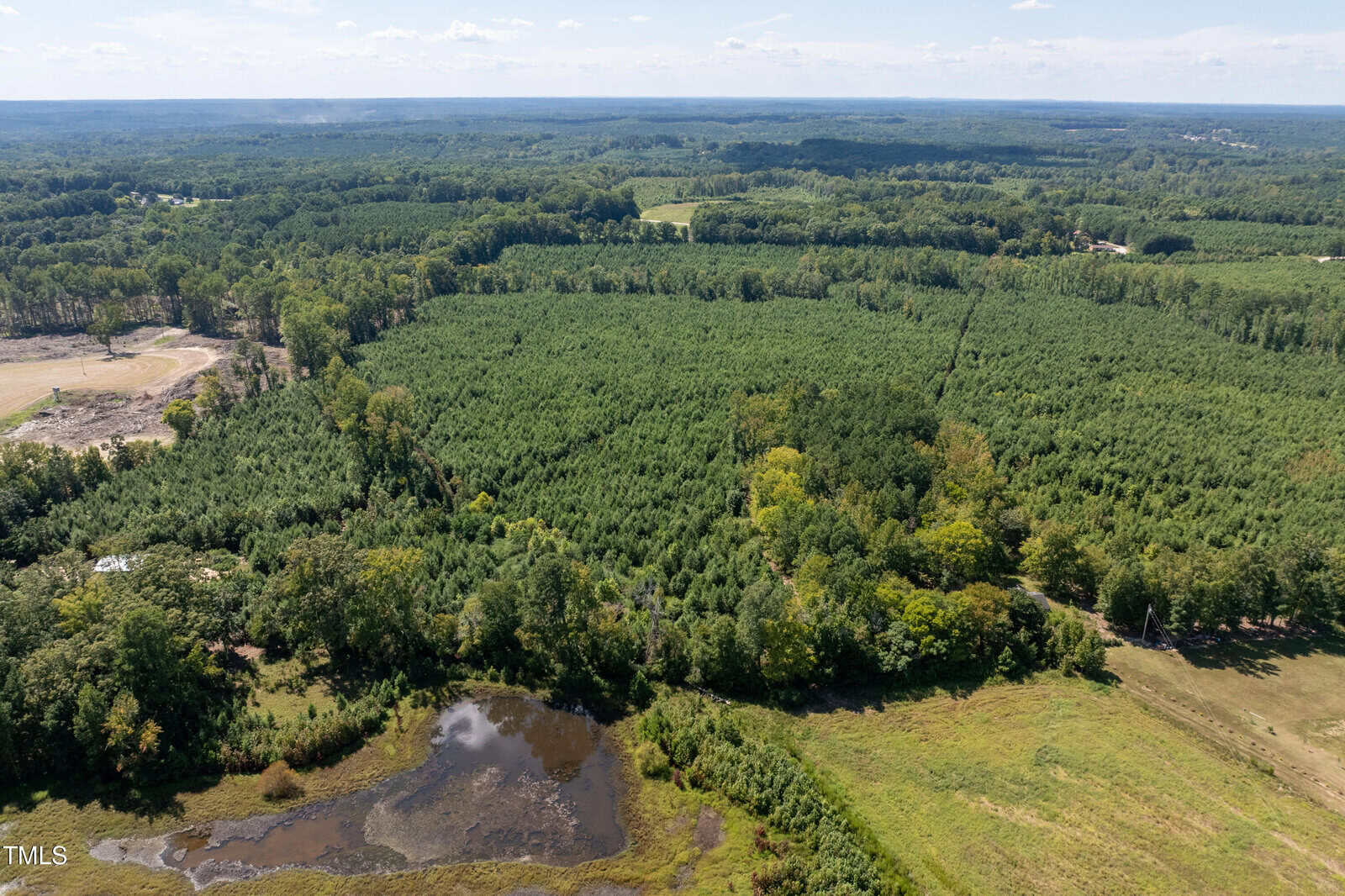 Aerial view of forested land with dense green trees, a small pond in the foreground, and open fields beyond. The horizon shows a vast expanse of woods under a blue sky with scattered clouds.