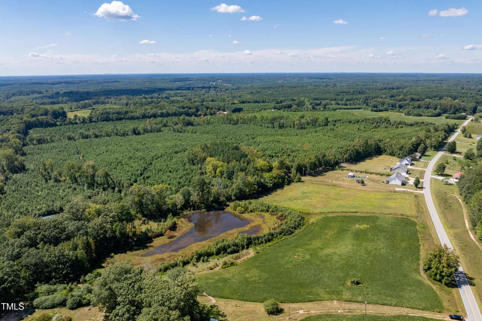 Aerial view of a rural landscape with green fields, a small pond, clusters of trees, scattered houses, and a road running alongside open farmland under a blue sky with scattered clouds.