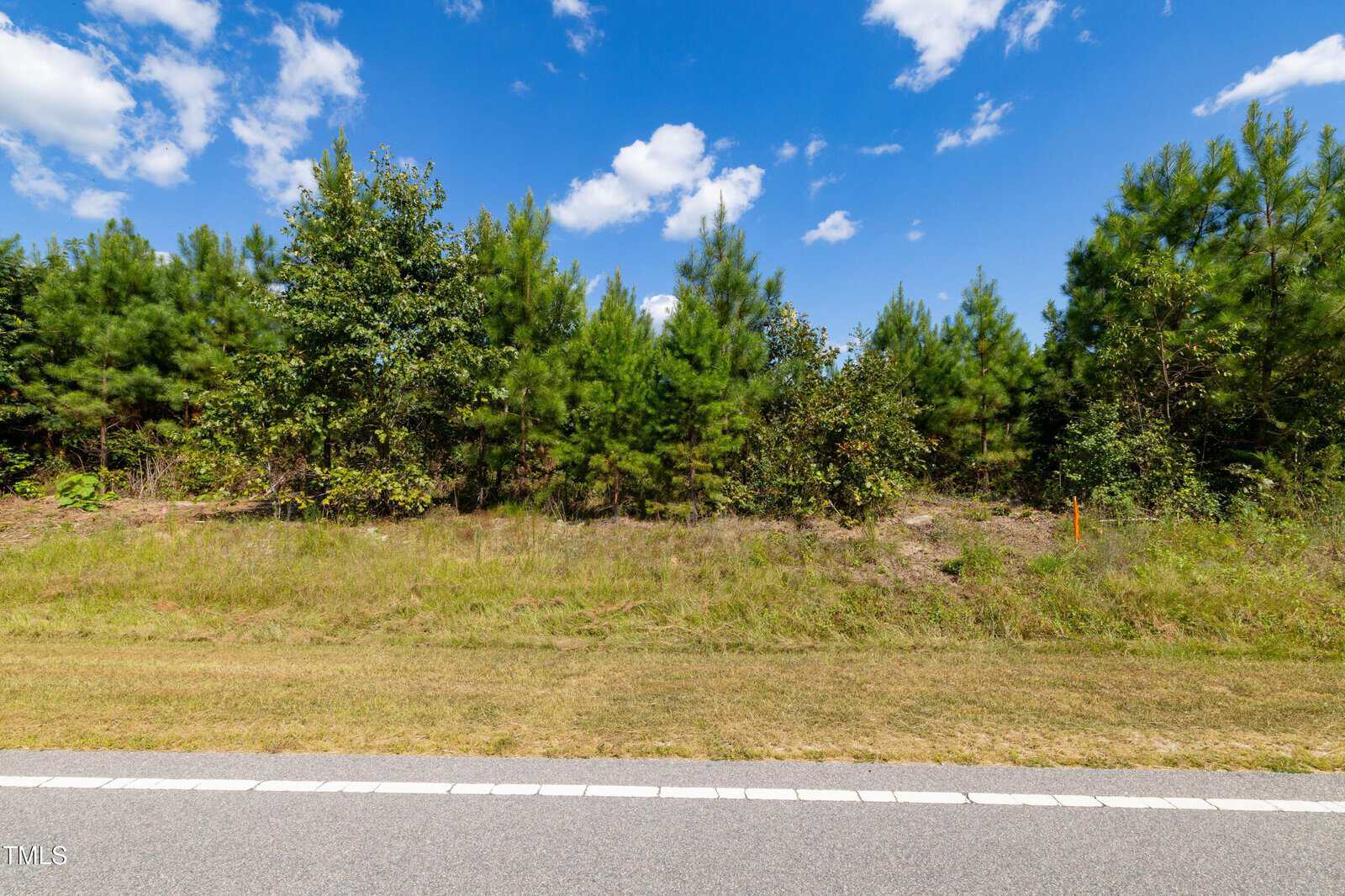 A roadside view with a grass verge and a row of green trees under a blue sky with scattered white clouds. The road edge and some asphalt are visible at the bottom of the image.