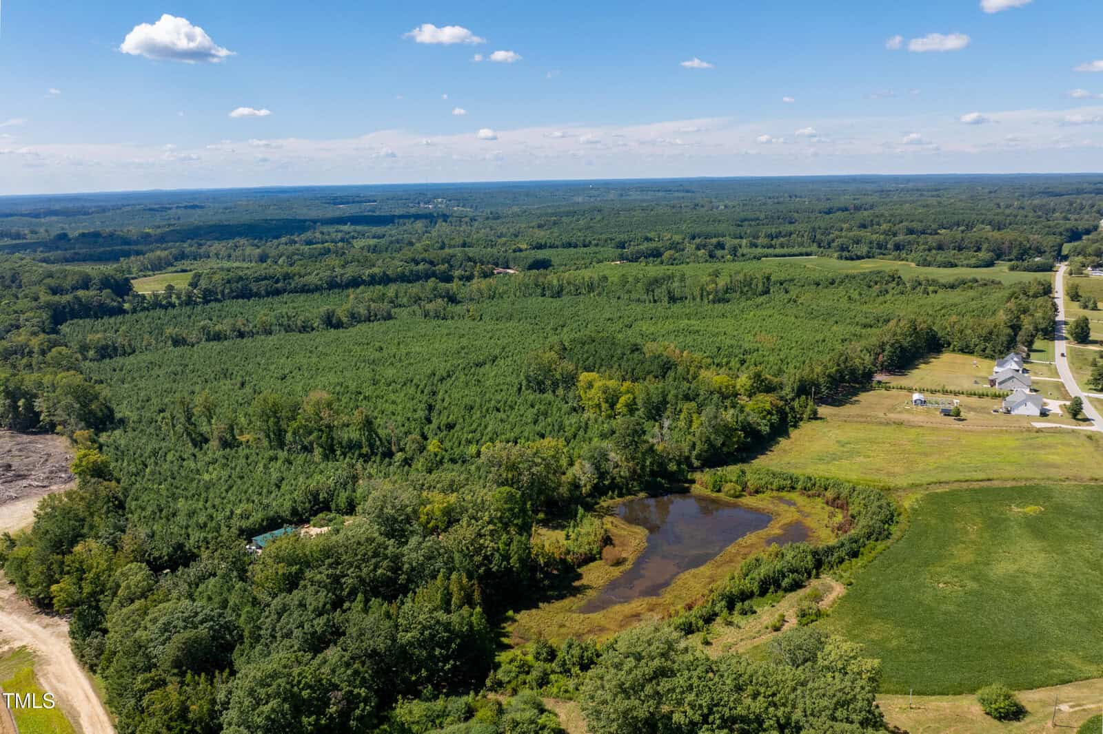 Aerial view of a large, green forest with a small pond, open fields, scattered houses, and a clear blue sky with clouds.