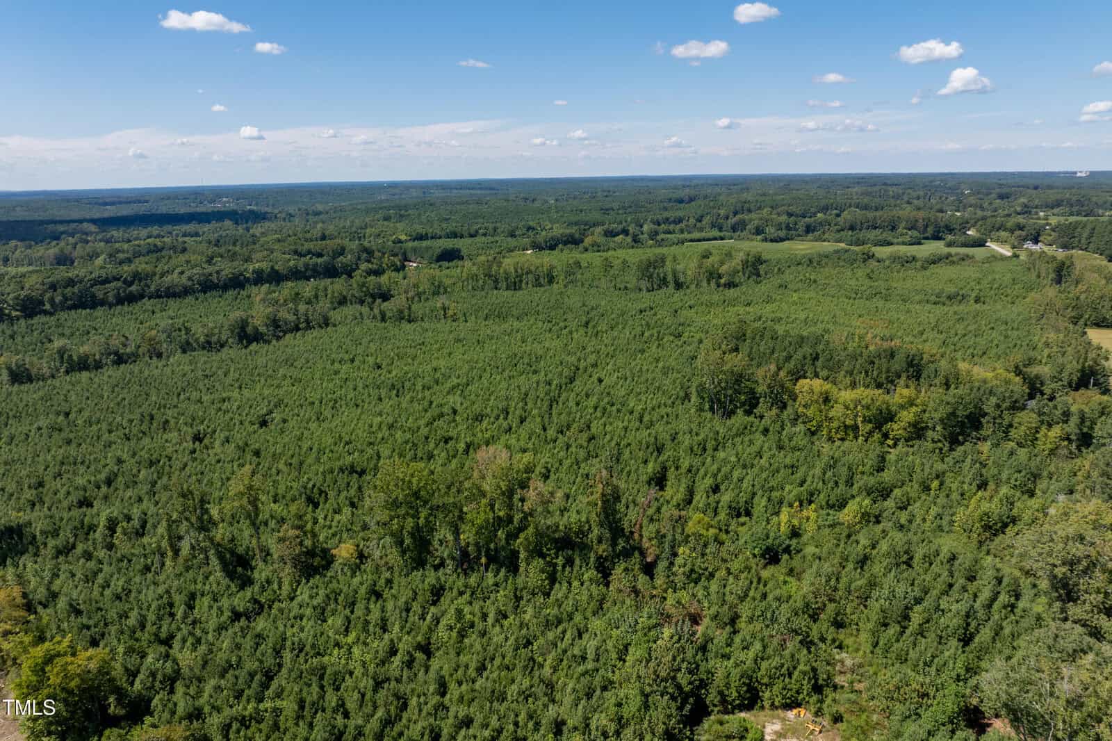 Aerial view of a vast, dense forest under a blue sky with scattered clouds; green trees stretch to the horizon with some open spaces and patches of lighter foliage.