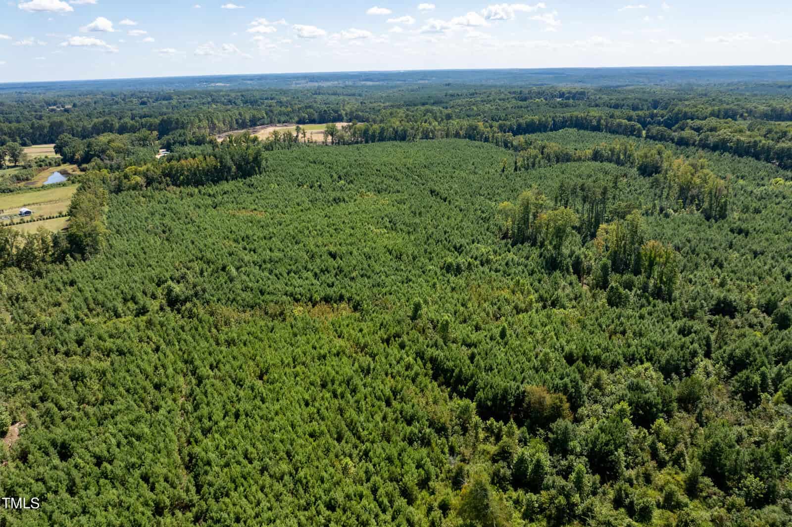 Aerial view of a large, densely wooded area with green trees, surrounded by open fields and forest under a blue sky with scattered clouds.