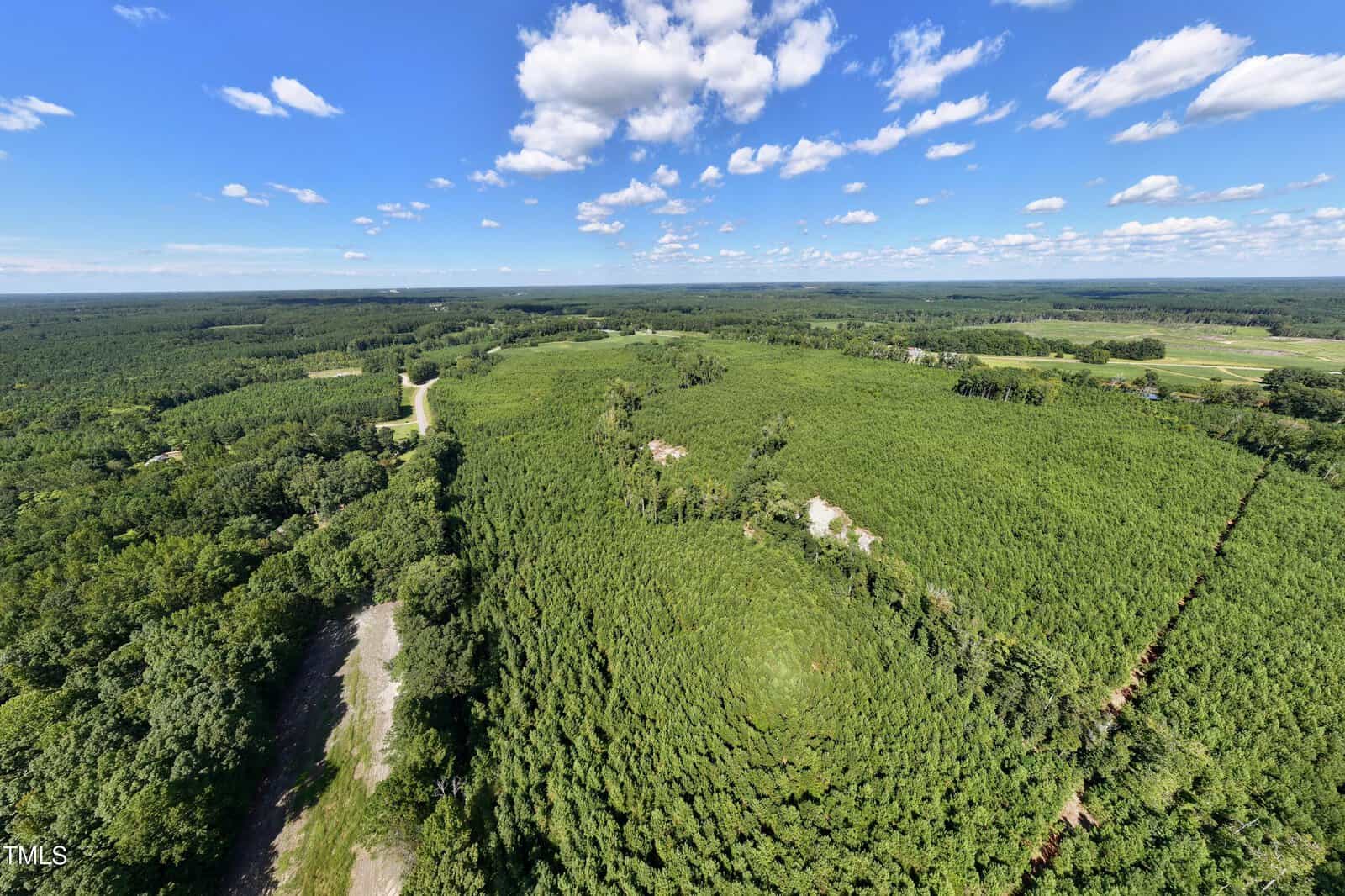 Aerial view of a large, green, densely forested area with a few clearings and dirt roads under a blue sky with scattered clouds. The landscape stretches out to the horizon.