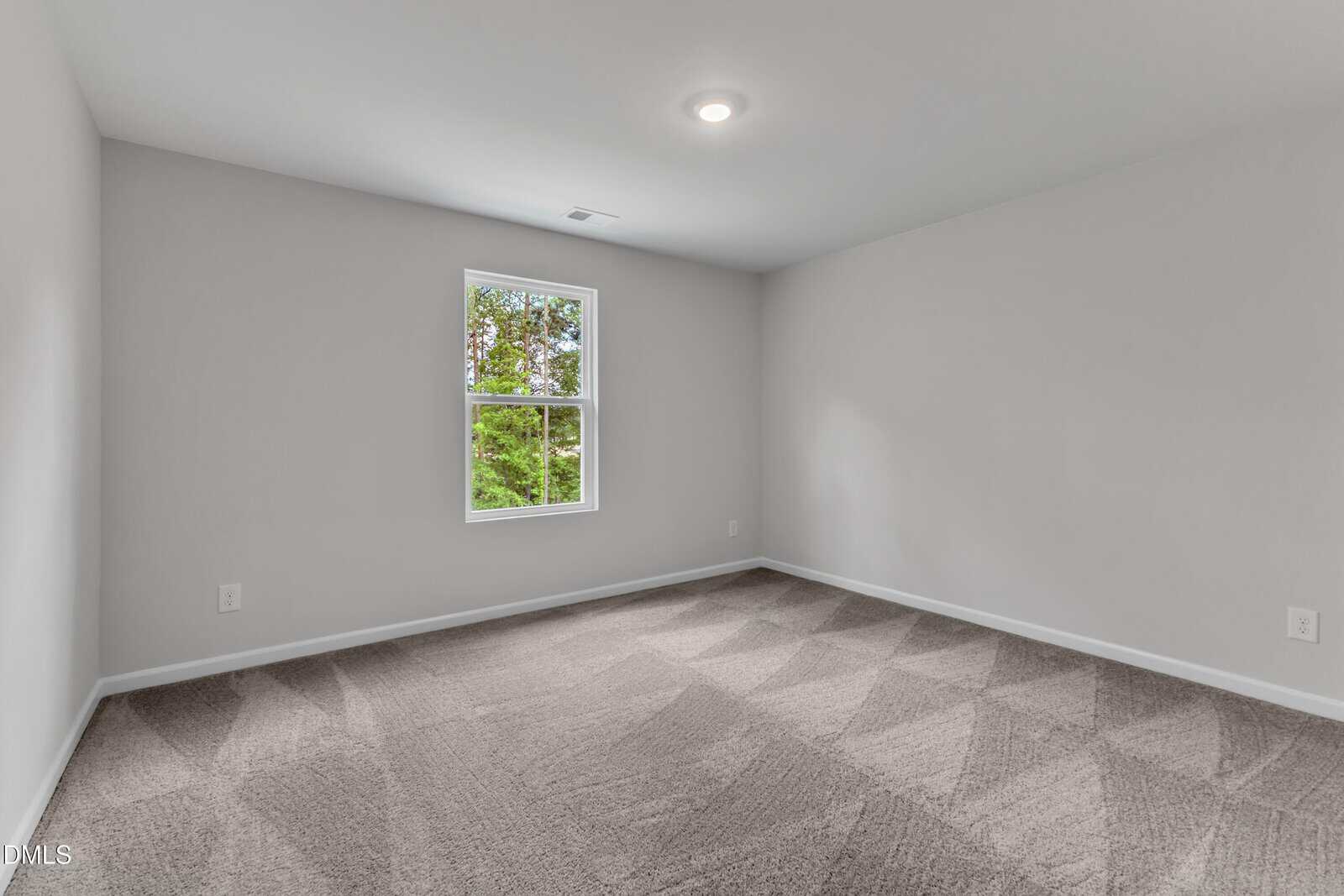 Empty room with light gray walls, beige carpet with vacuum lines, a single window showing greenery outside, and a ceiling light fixture.
