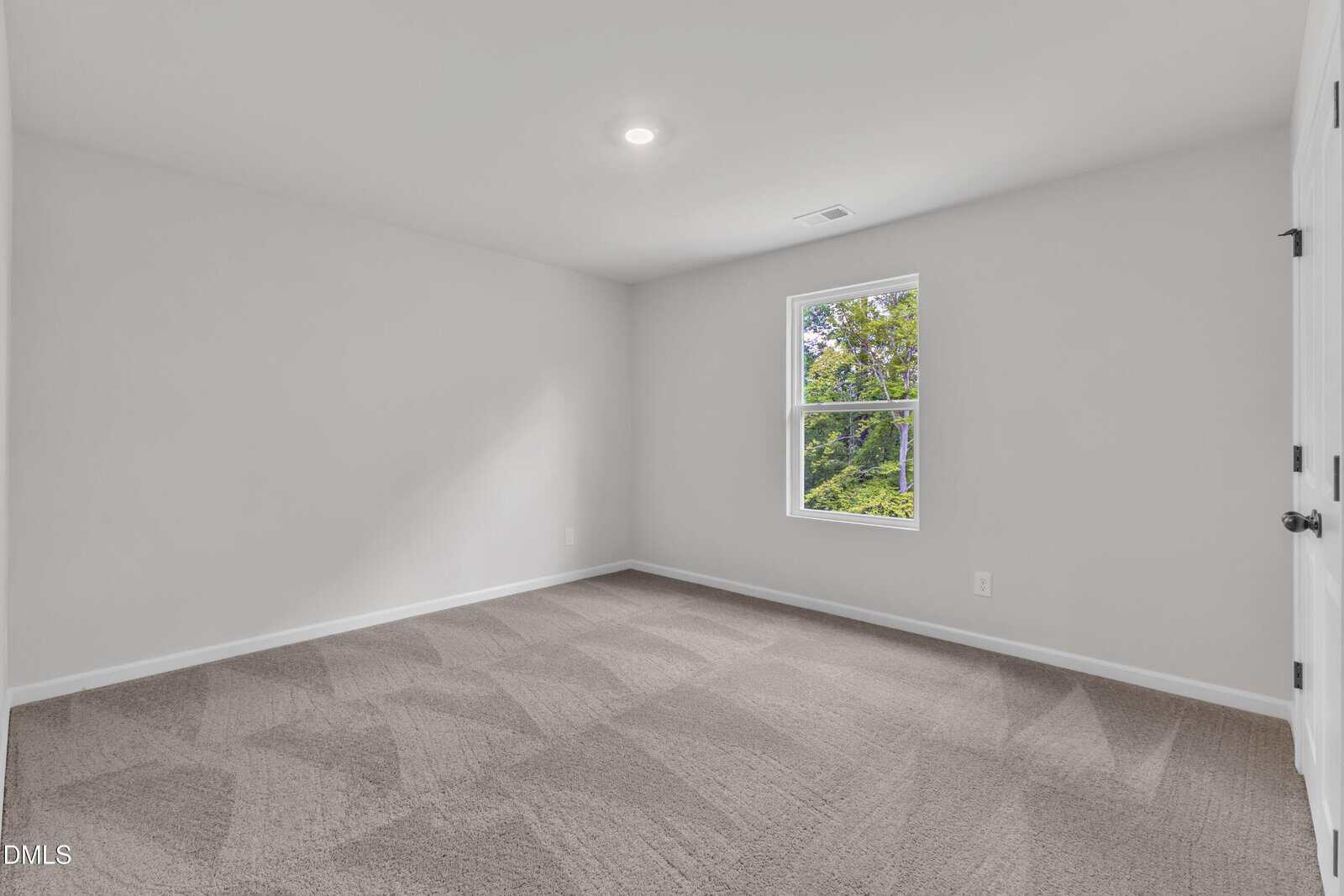 Empty room with light gray walls, beige carpet, a single window showing greenery outside, and a white door on the right. Ceiling has a recessed light. The room appears clean and bright.