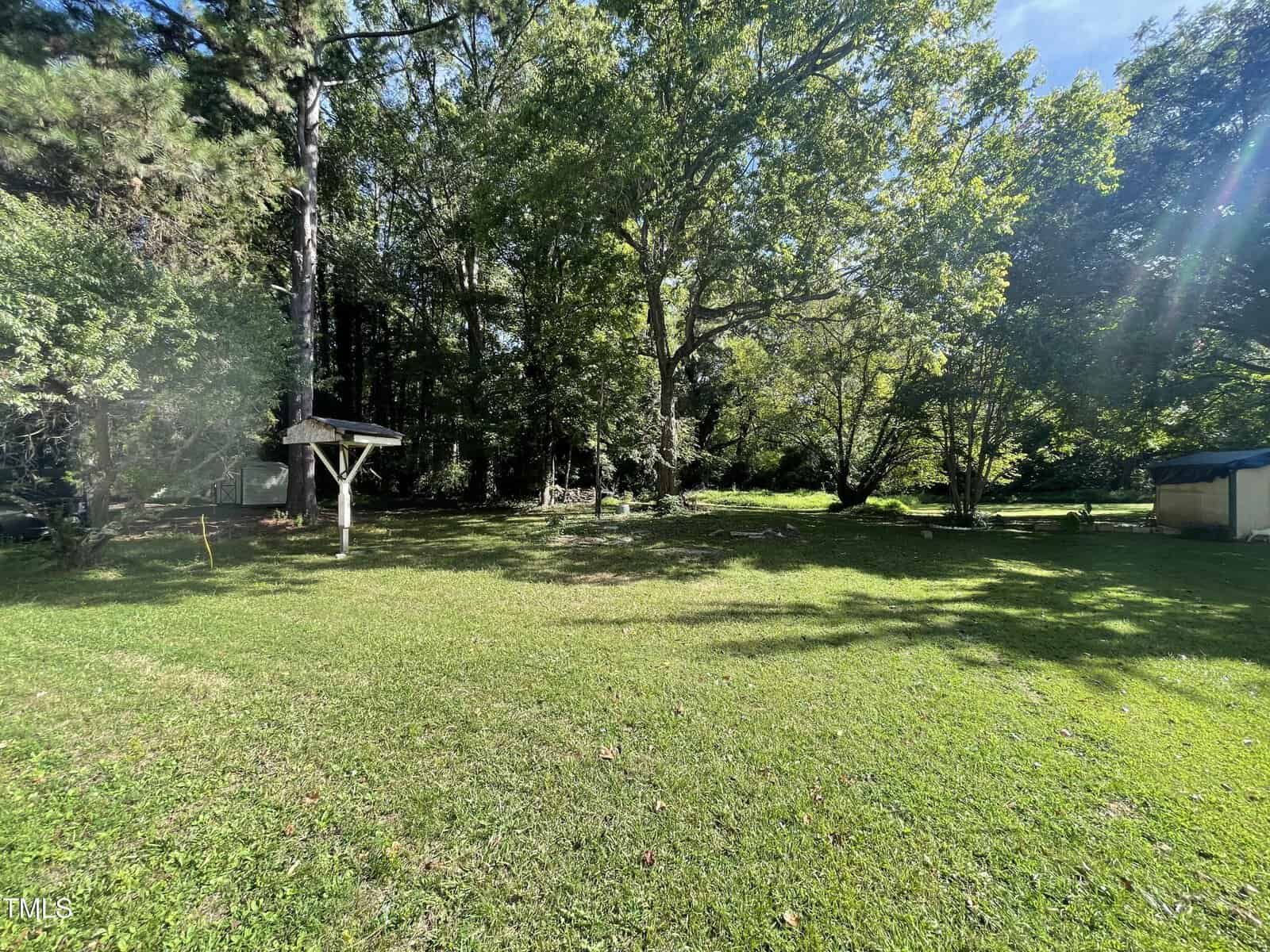 A sunny backyard with green grass, large trees providing shade, a wooden structure on the left, and a small shed on the right. The area is surrounded by dense woods.