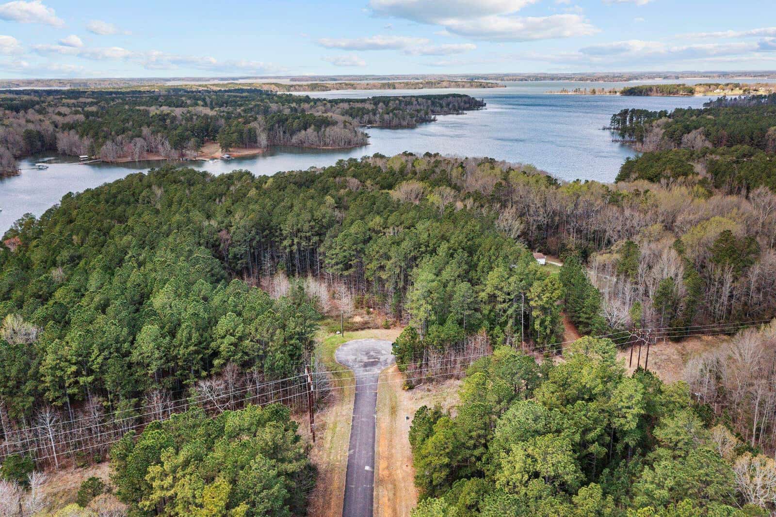 Aerial view of a cul-de-sac surrounded by dense forest, with a large lake and patches of trees in the background under a partly cloudy sky.