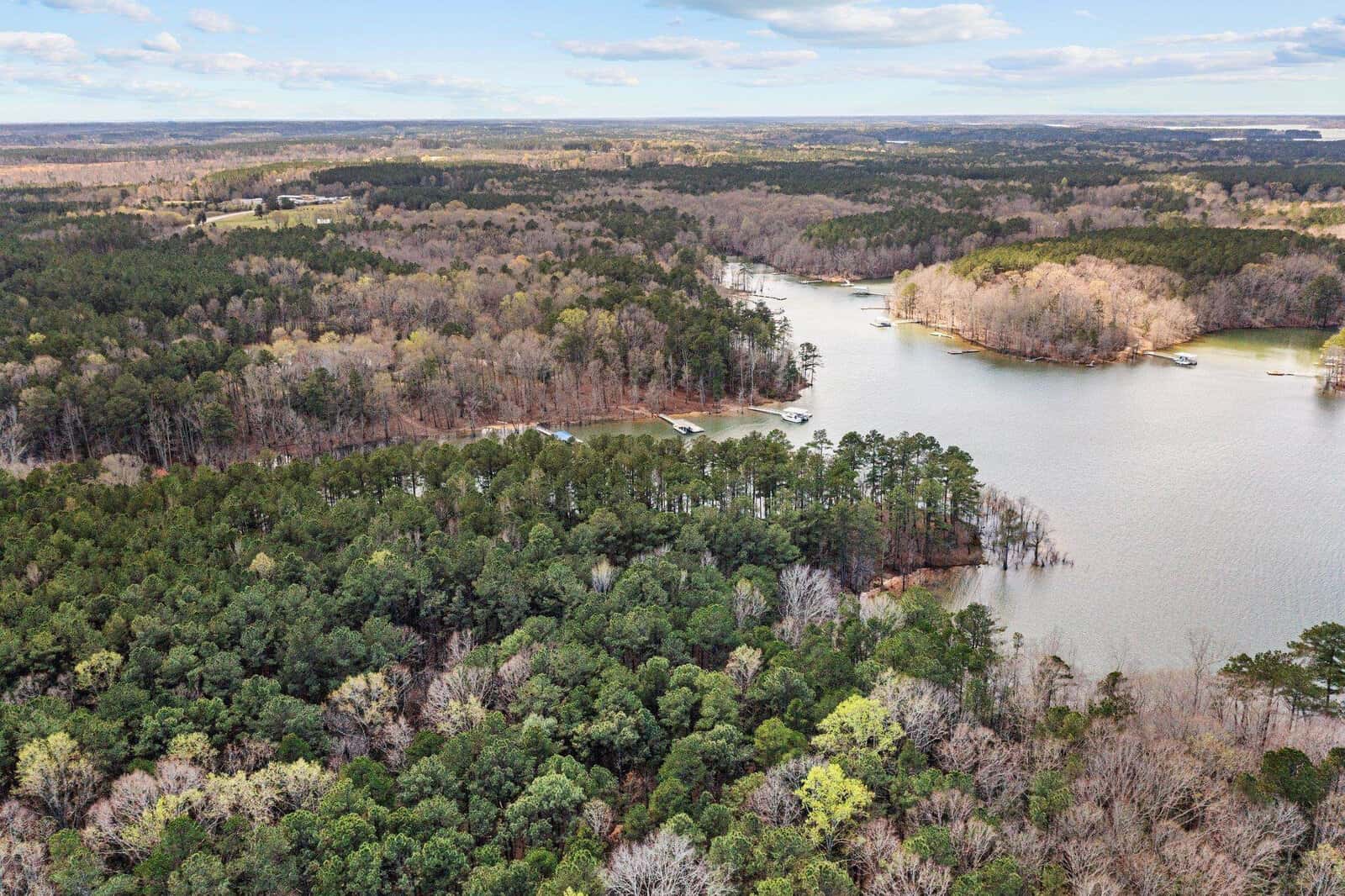 Aerial view of a forested area with a winding river or lake, surrounded by trees. Several docks are visible along the shoreline under a partly cloudy sky.