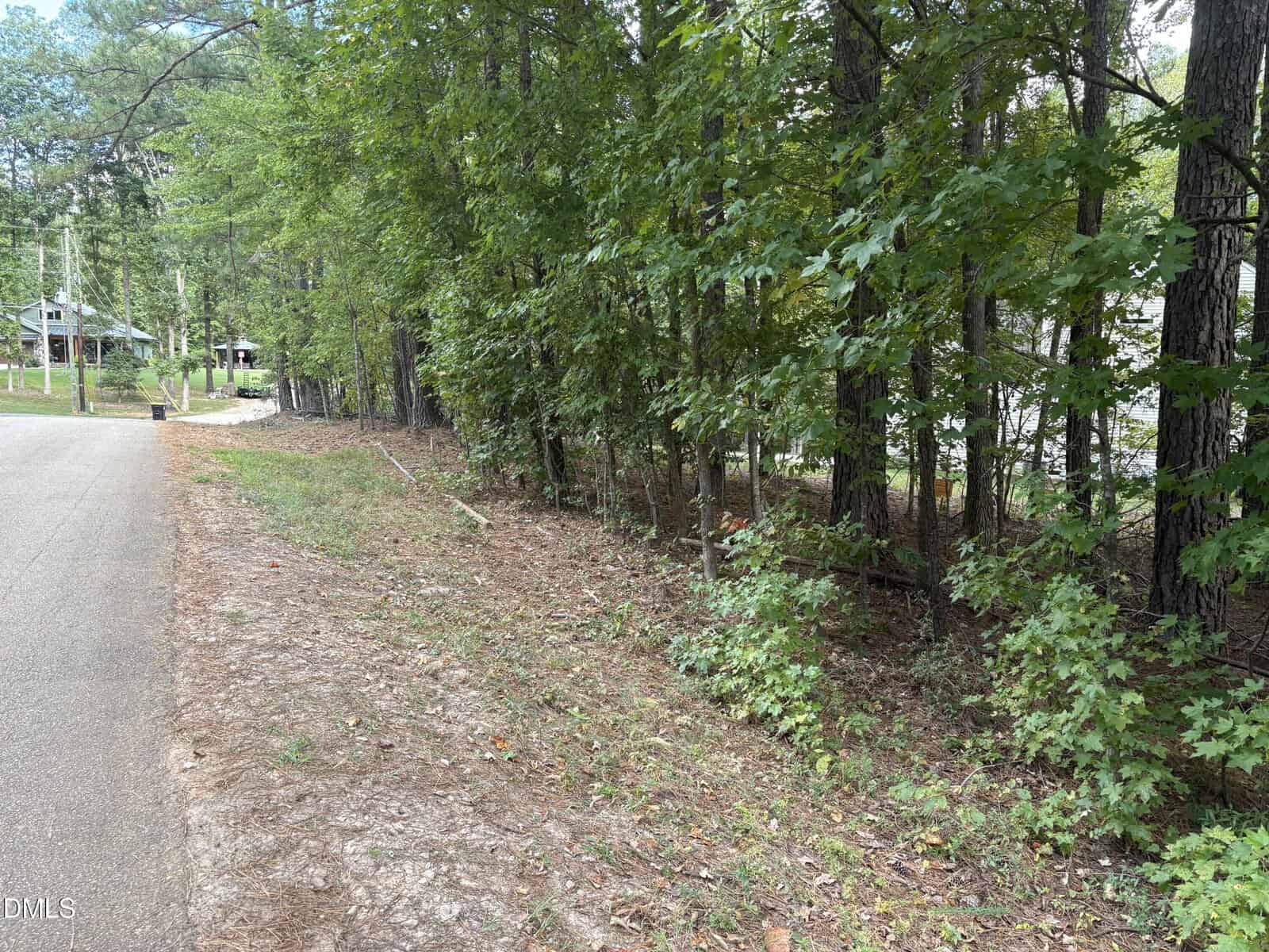A paved road runs alongside a wooded area with tall trees and dense green foliage. Houses are visible in the background on the left side of the image.