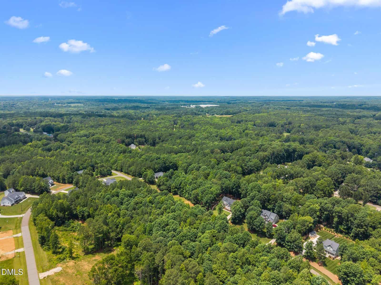 Aerial view of a residential area surrounded by dense green forest, scattered houses with spacious yards, and a clear blue sky with a few clouds above.