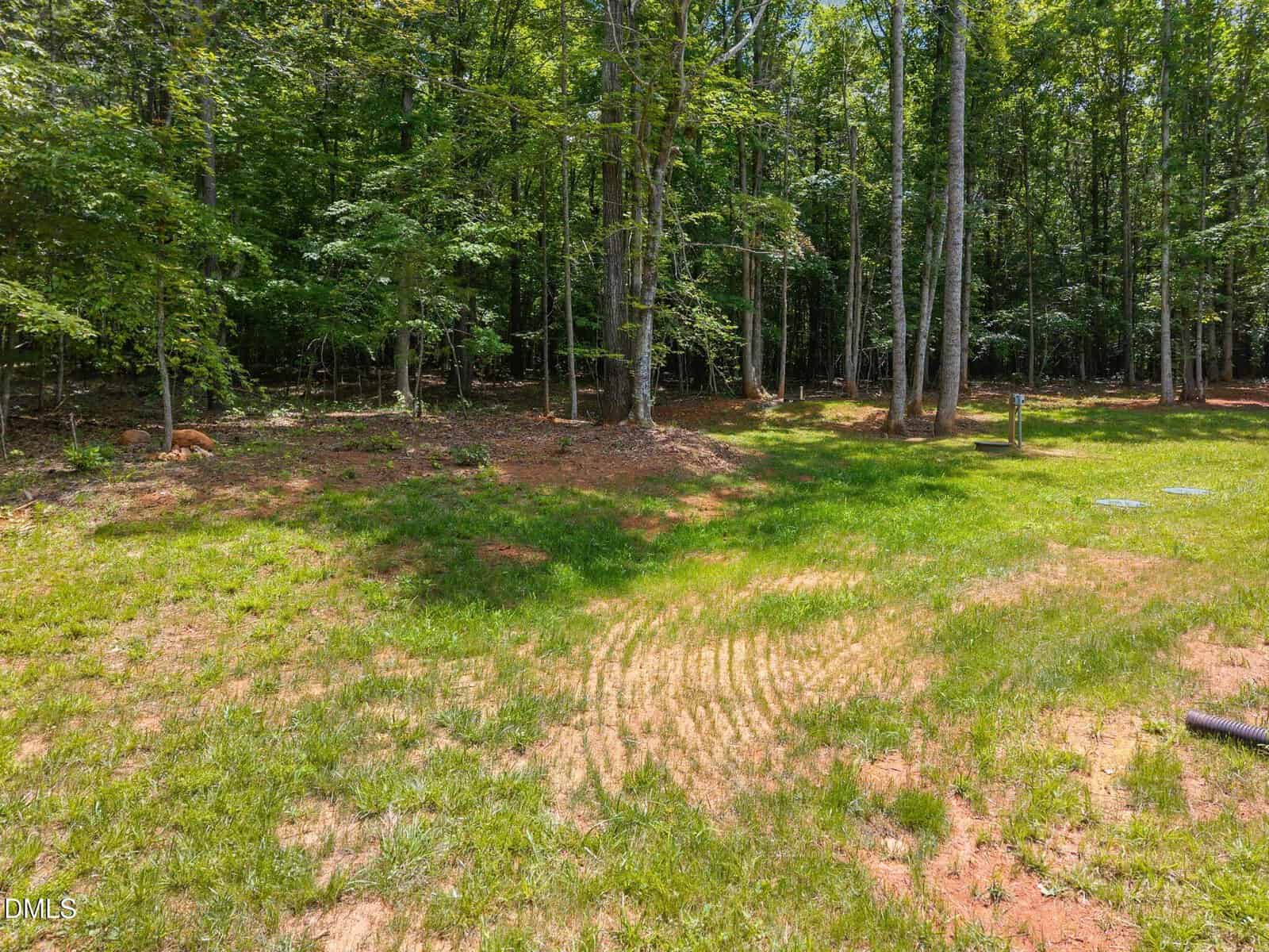 A grassy backyard with some bare patches and tire tracks, bordered by tall trees and dense forest in the background under bright sunlight.