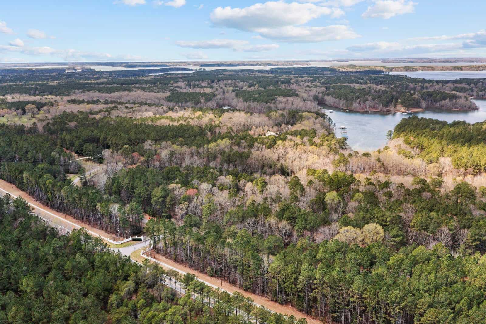 Aerial view of a forested landscape with a winding road and a river or lake, under a blue sky with scattered clouds.