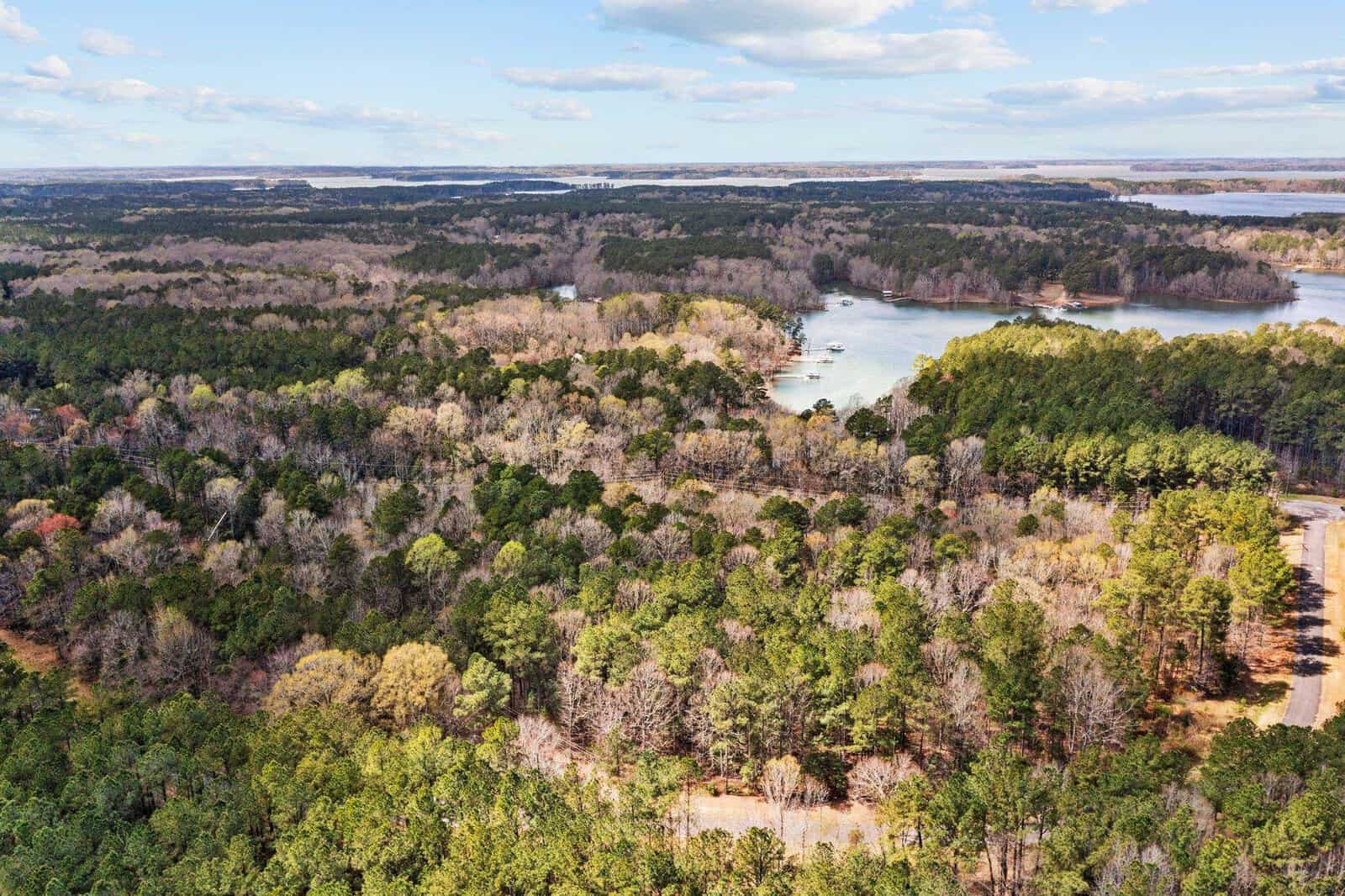 Aerial view of a dense forest with patches of bare trees, a winding river or lake, and a clear blue sky with scattered clouds in the background.