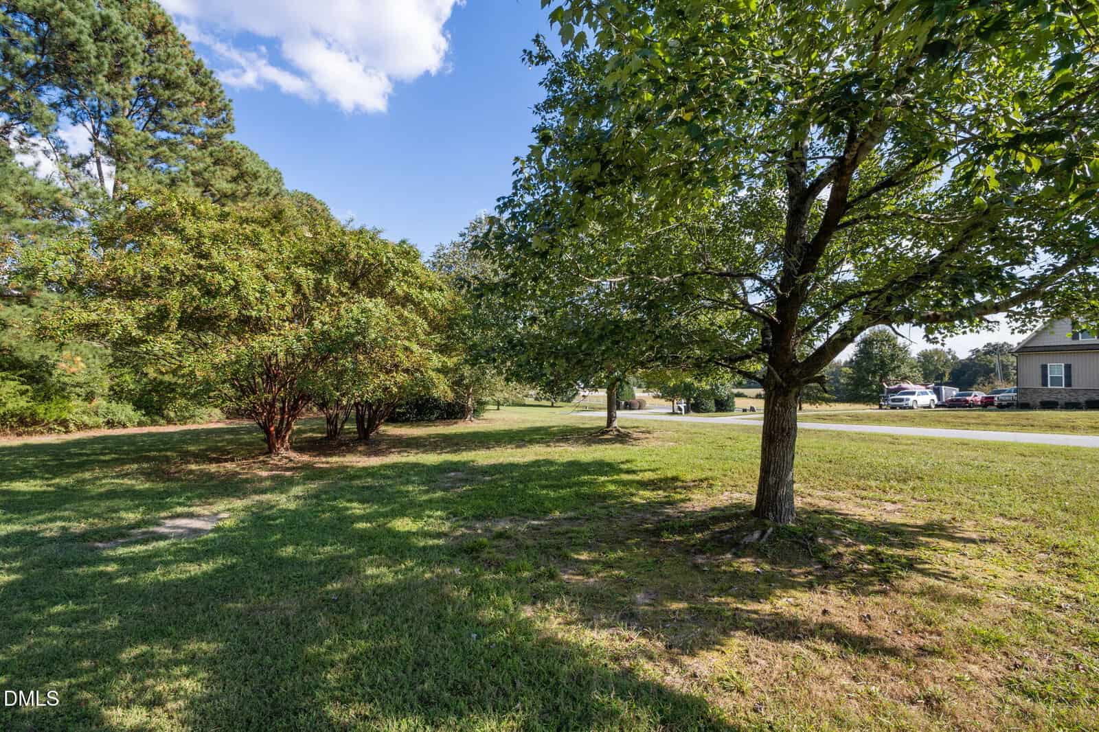 A grassy yard with several trees casting shadows, bordered by more greenery. In the background, there is a road with parked cars and a portion of a house visible on the right side. The sky is blue with scattered clouds.