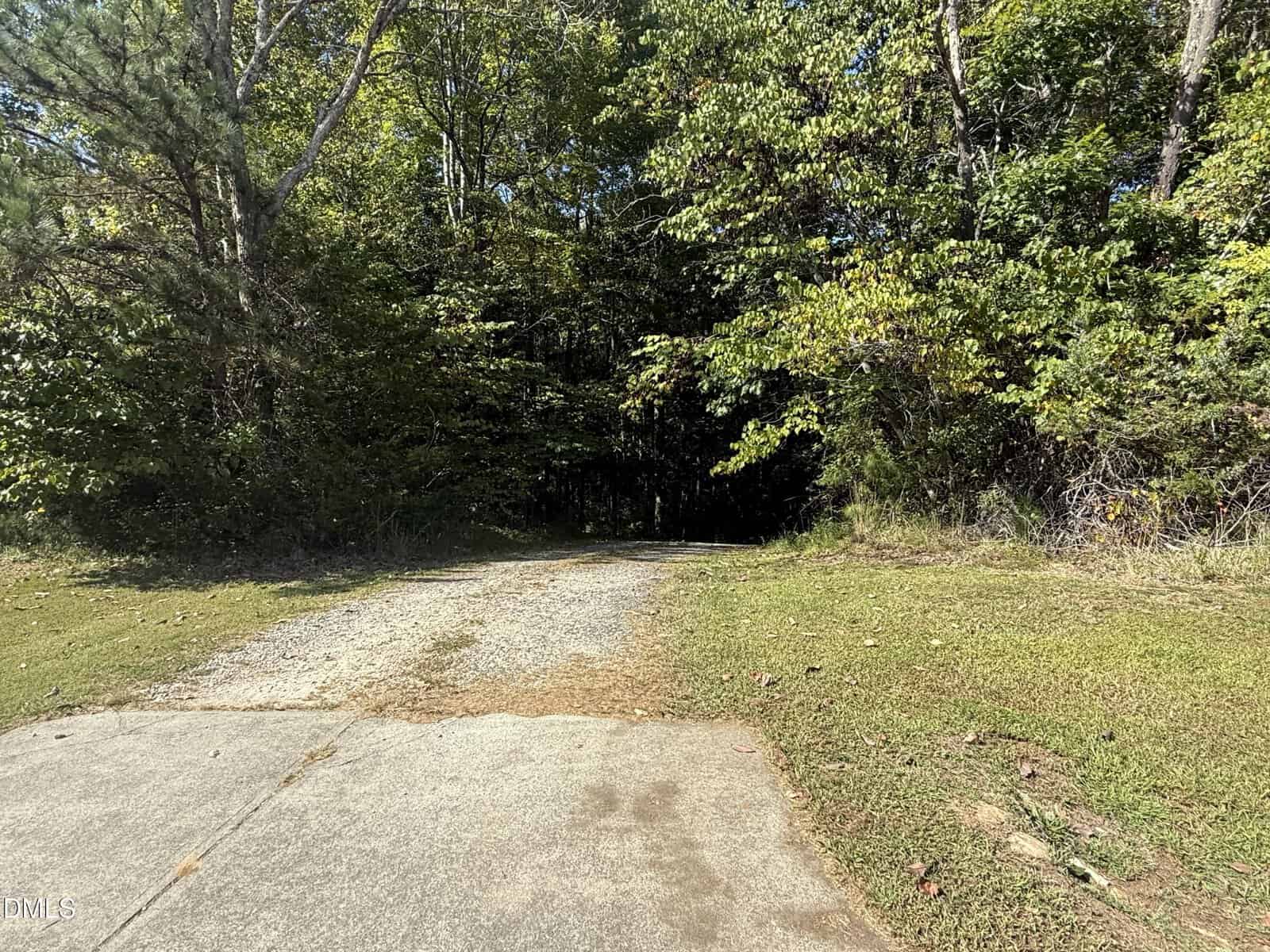 A paved driveway transitions to a gravel path and leads into a dense, green forest with trees and bushes on both sides. The area is surrounded by grass, and sunlight filters through the foliage.