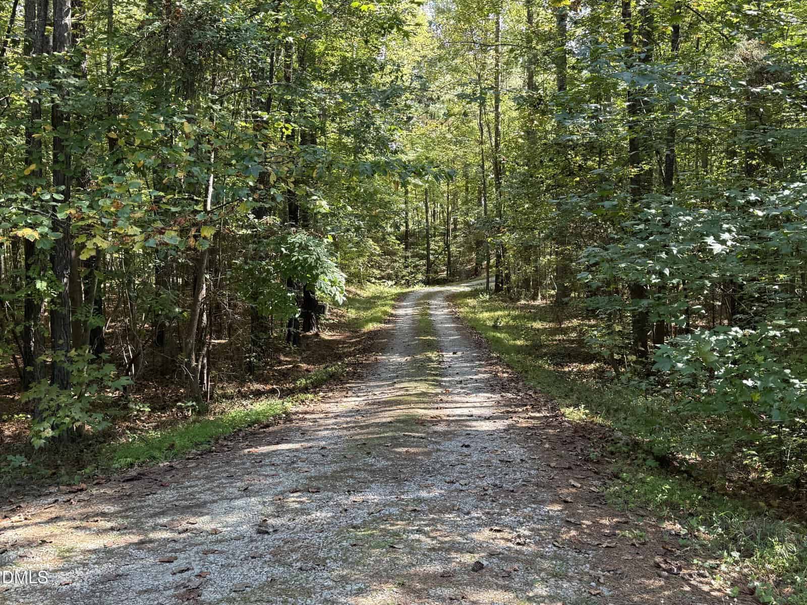 A gravel path runs through a wooded area with tall trees and green foliage on both sides, dappled sunlight covering parts of the trail and forest floor.