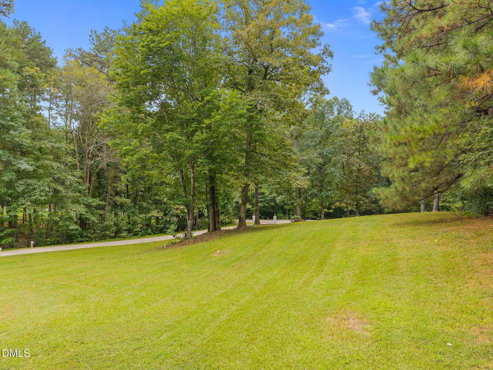 A grassy lawn slopes gently toward a paved road, bordered by tall green trees under a bright blue sky with scattered clouds.