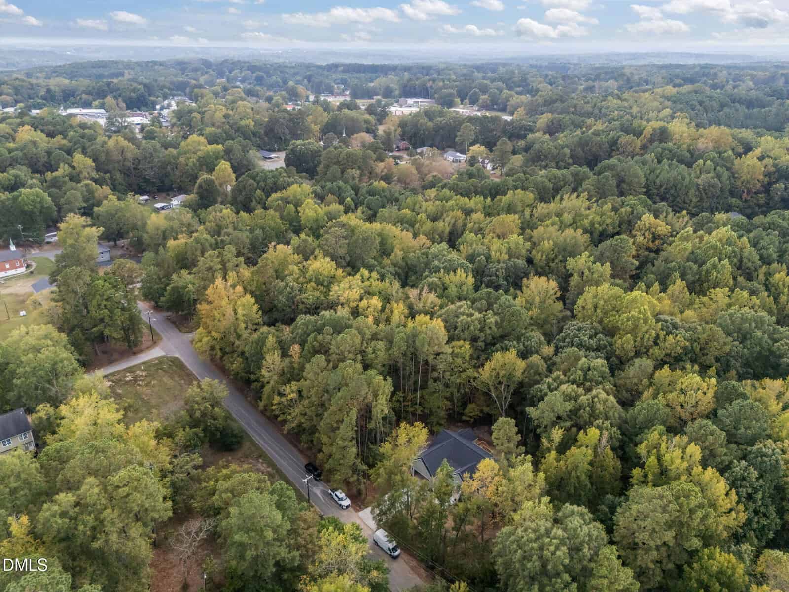 Aerial view of a suburban area with dense green trees, a few houses partly visible among the foliage, and a road running through the scene. The sky is partly cloudy and the horizon shows more forested areas.