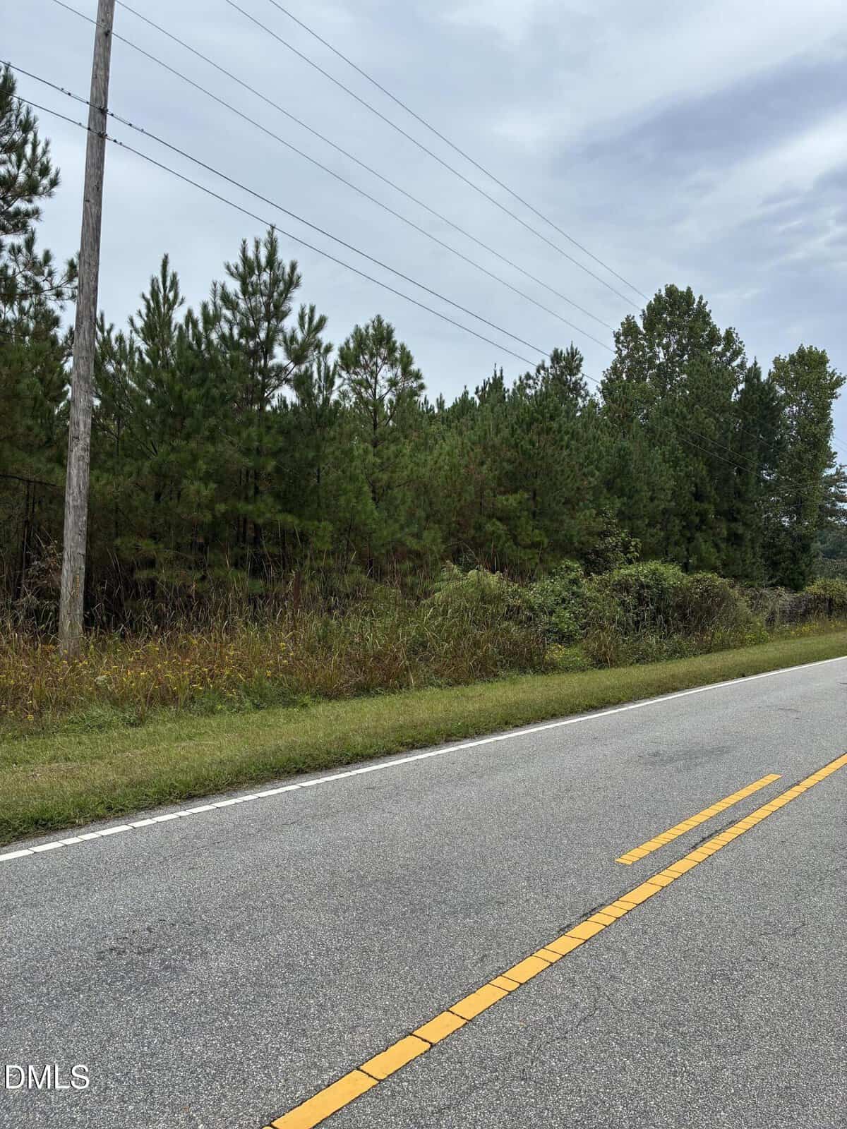 A two-lane road with yellow dashed lines runs past a dense forest of pine trees under a cloudy sky. A utility pole and power lines are visible along the grassy roadside.
