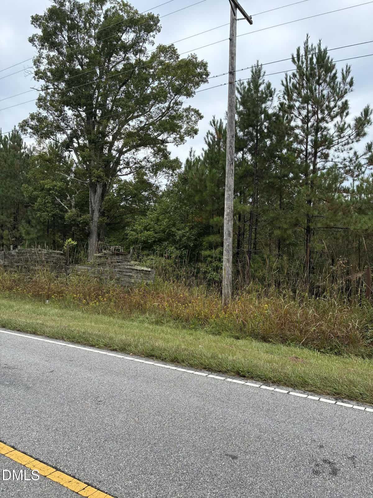 A rural roadside with a grassy shoulder, utility pole, dense trees, and overgrown vegetation under a cloudy sky. A yellow line runs along the edge of the asphalt road.