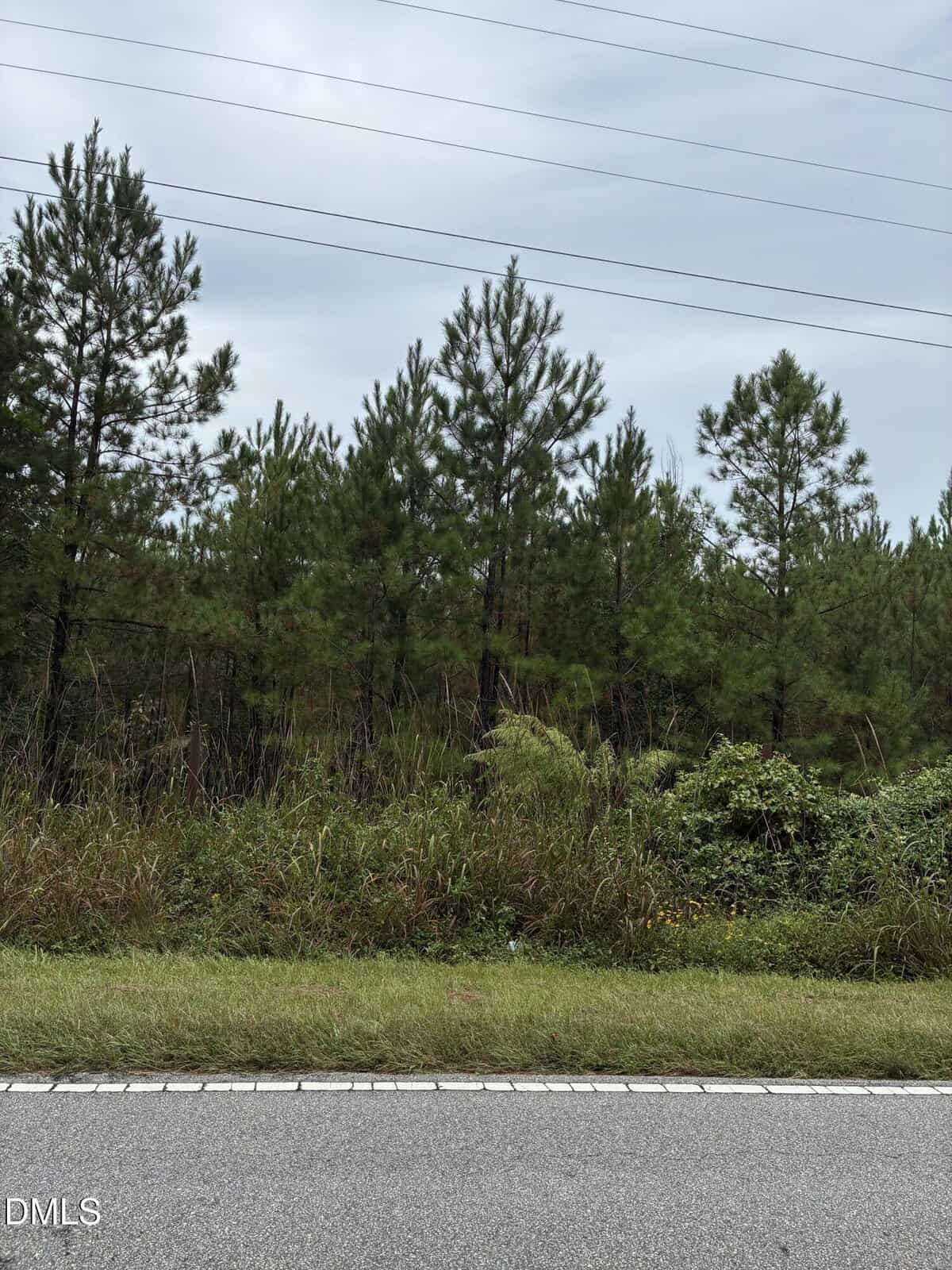 A roadside view of tall grass, shrubs, and pine trees under a cloudy sky, with power lines visible above the trees.